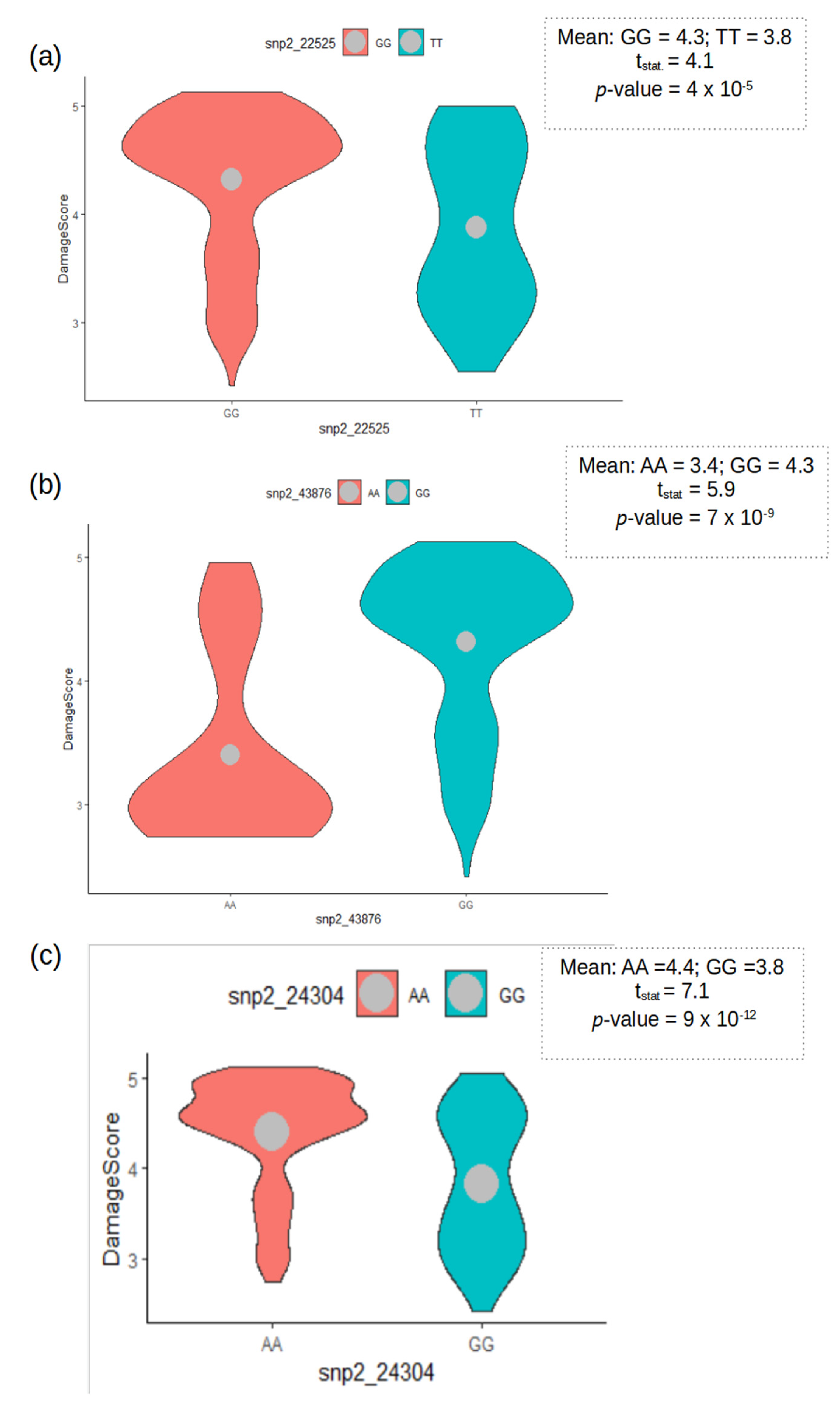 Genes 13 02002 g005 Genes 13 02002 g005