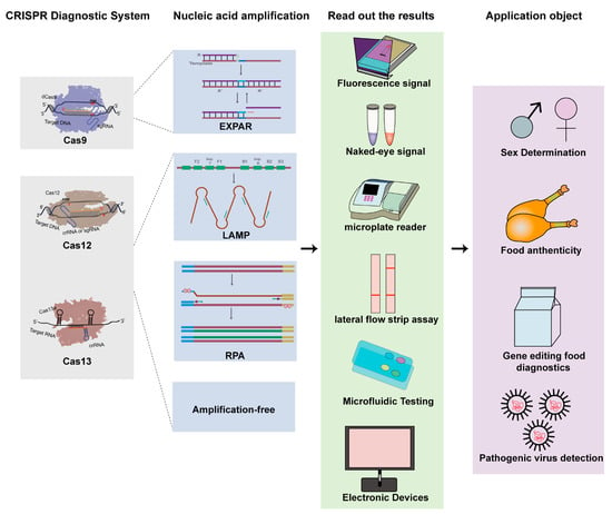 Genes Free Full Text Development of CRISPR Mediated Nucleic