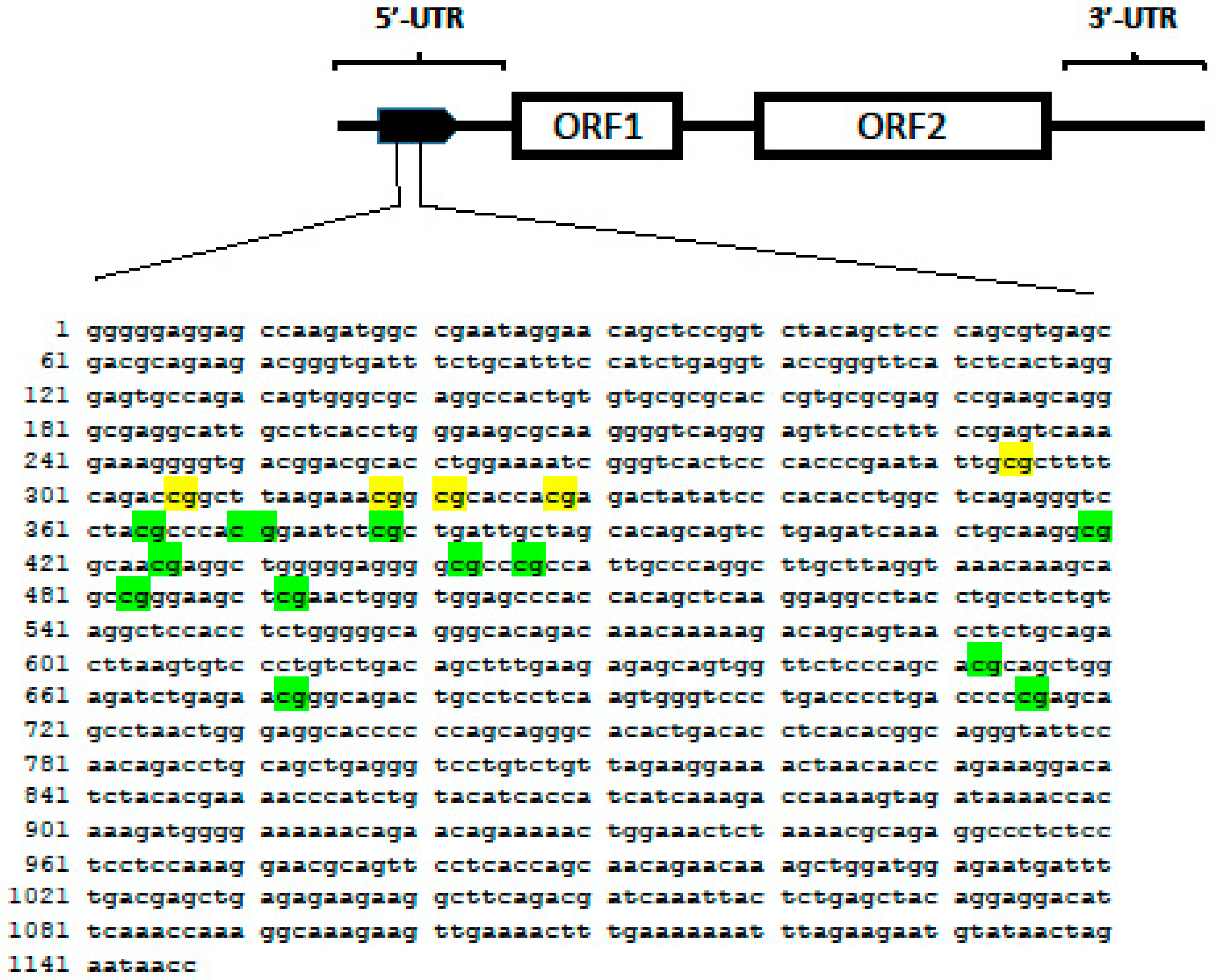 Genes | Free Full-Text | Seropositivity-Dependent Association between  LINE-1 Methylation and Response to Methotrexate Therapy in Early Rheumatoid  Arthritis Patients