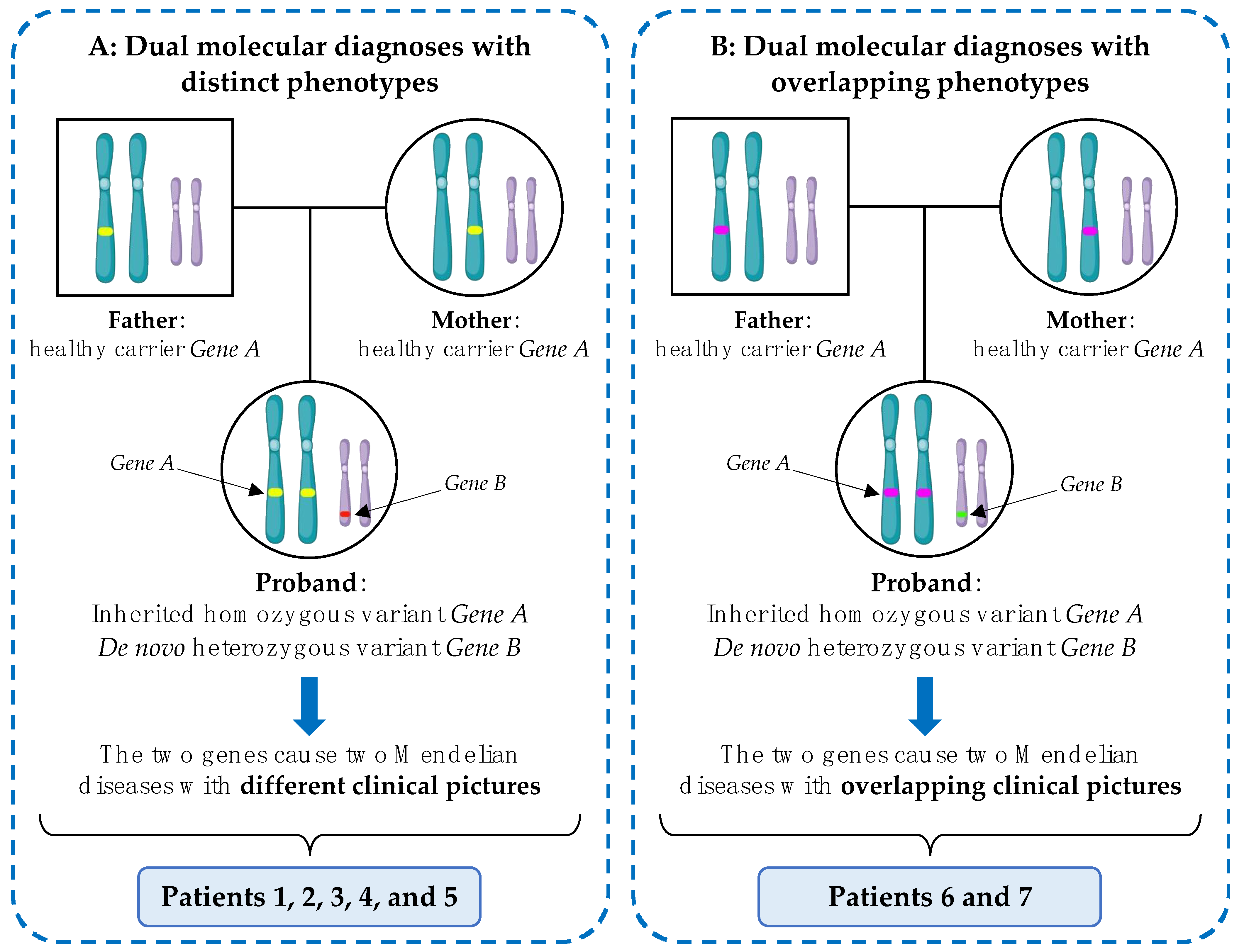 Expanding the phenotype associated to KMT2A variants: overlapping