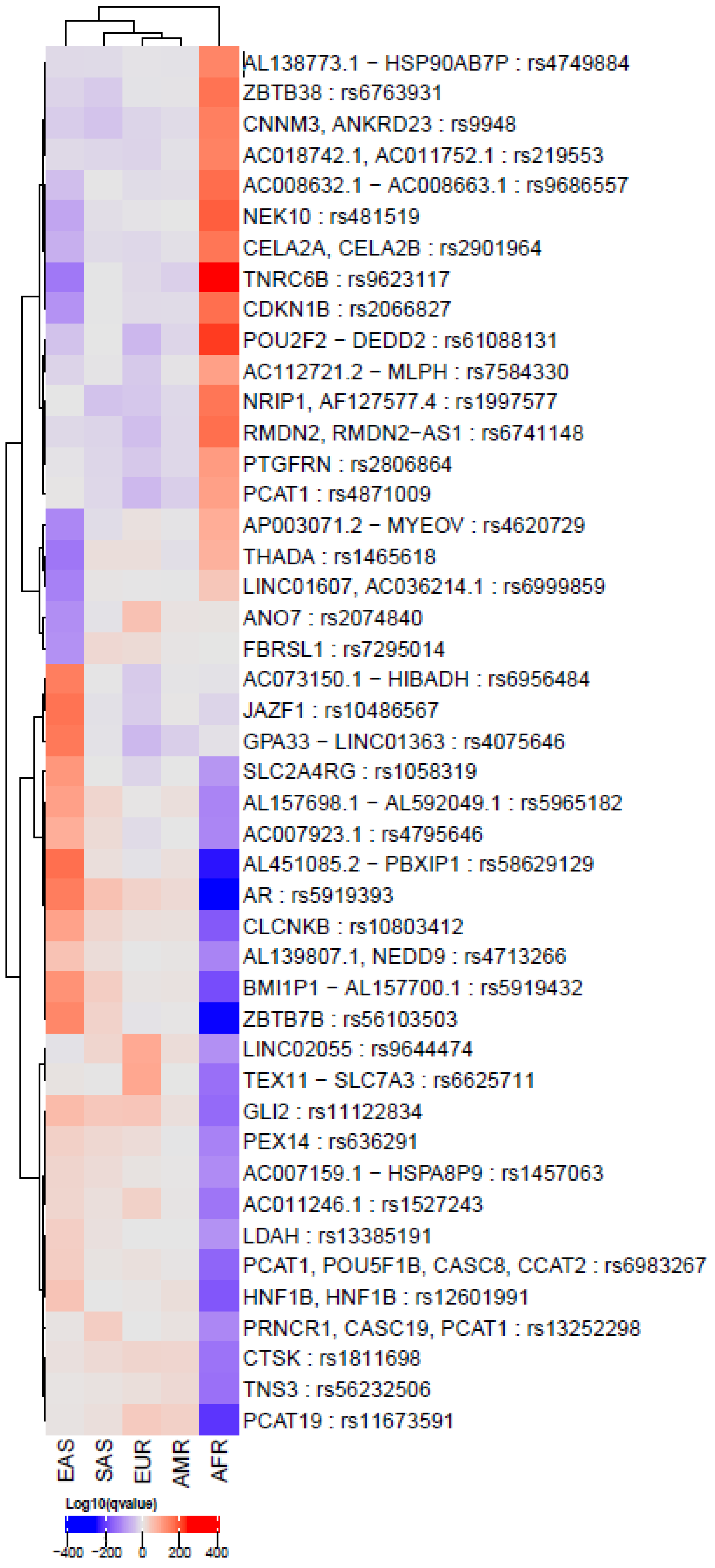 Genes 13 02039 g001 Genes 13 02039 g001