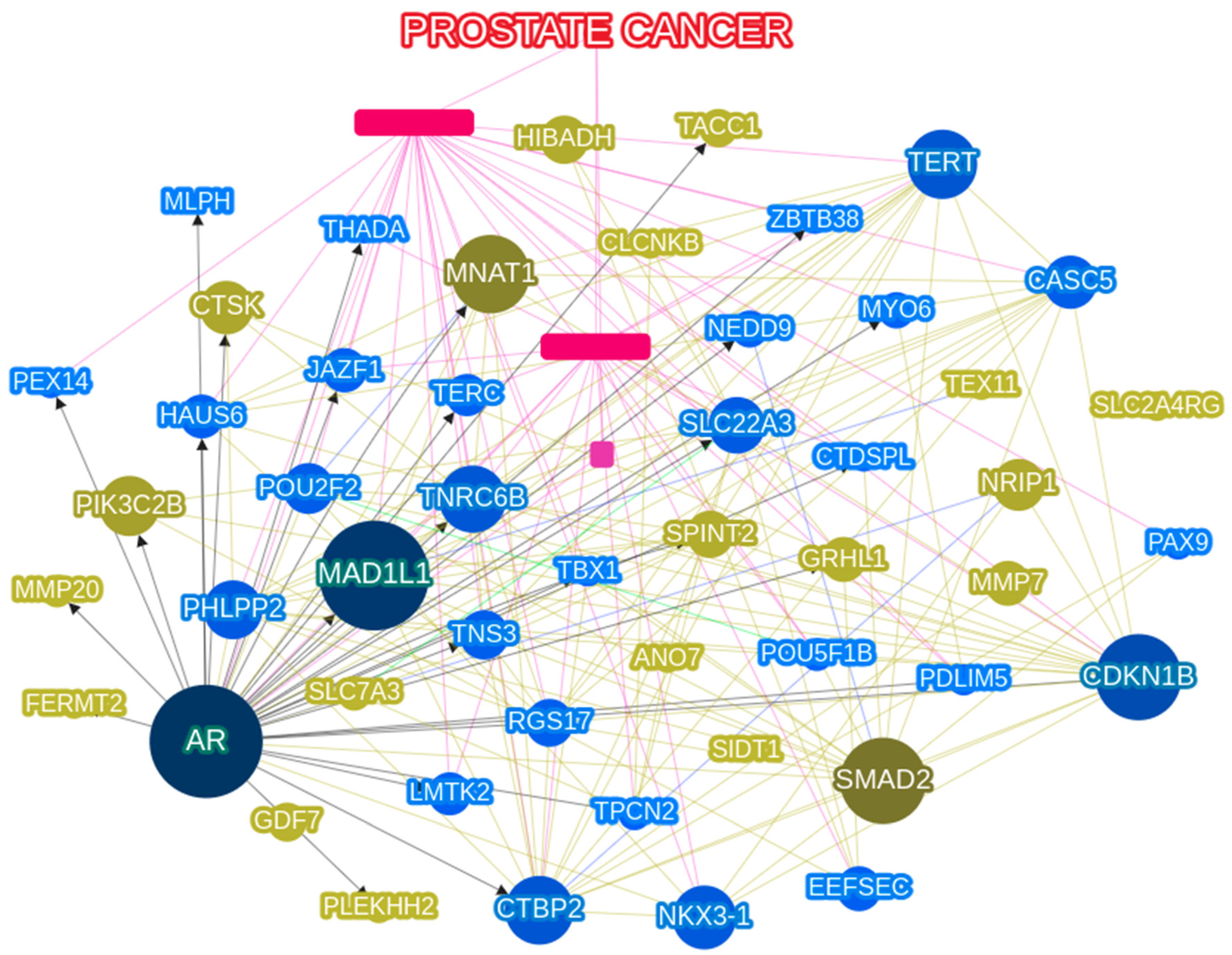 Genes 13 02039 g005 Genes 13 02039 g005
