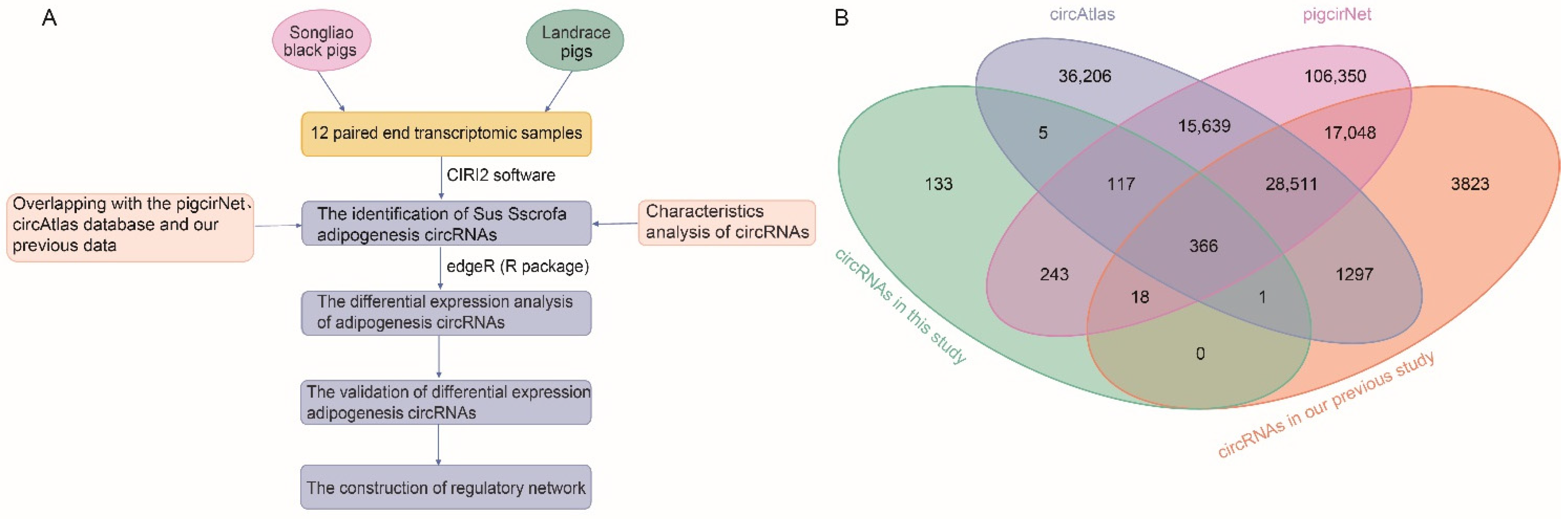 https://www.mdpi.com/genes/genes-13-02062/article_deploy/html/images/genes-13-02062-g001.png