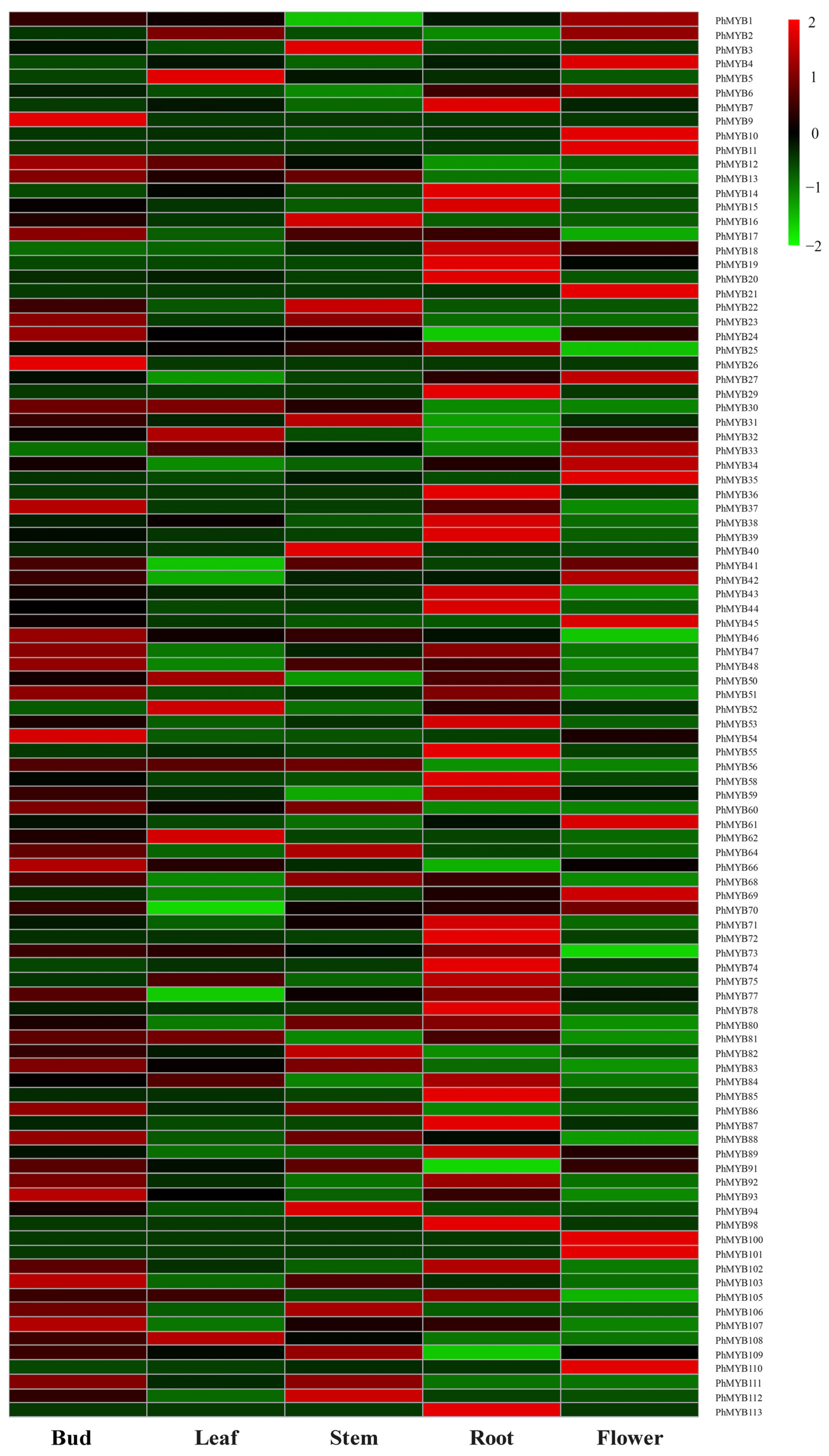 Genes 13 02064 g002 Genes 13 02064 g002