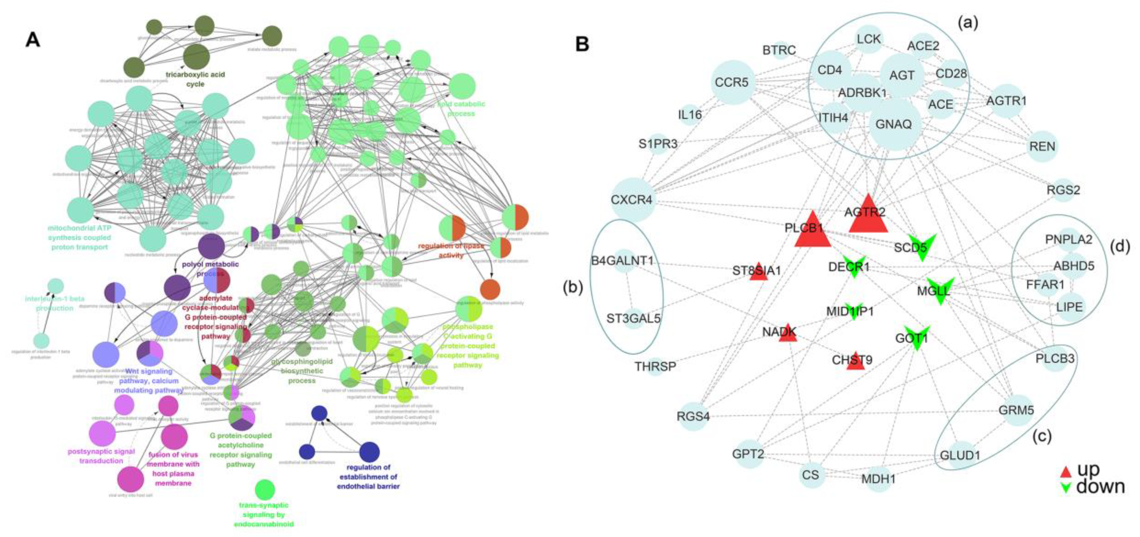 Genes 13 02073 g003 Genes 13 02073 g003