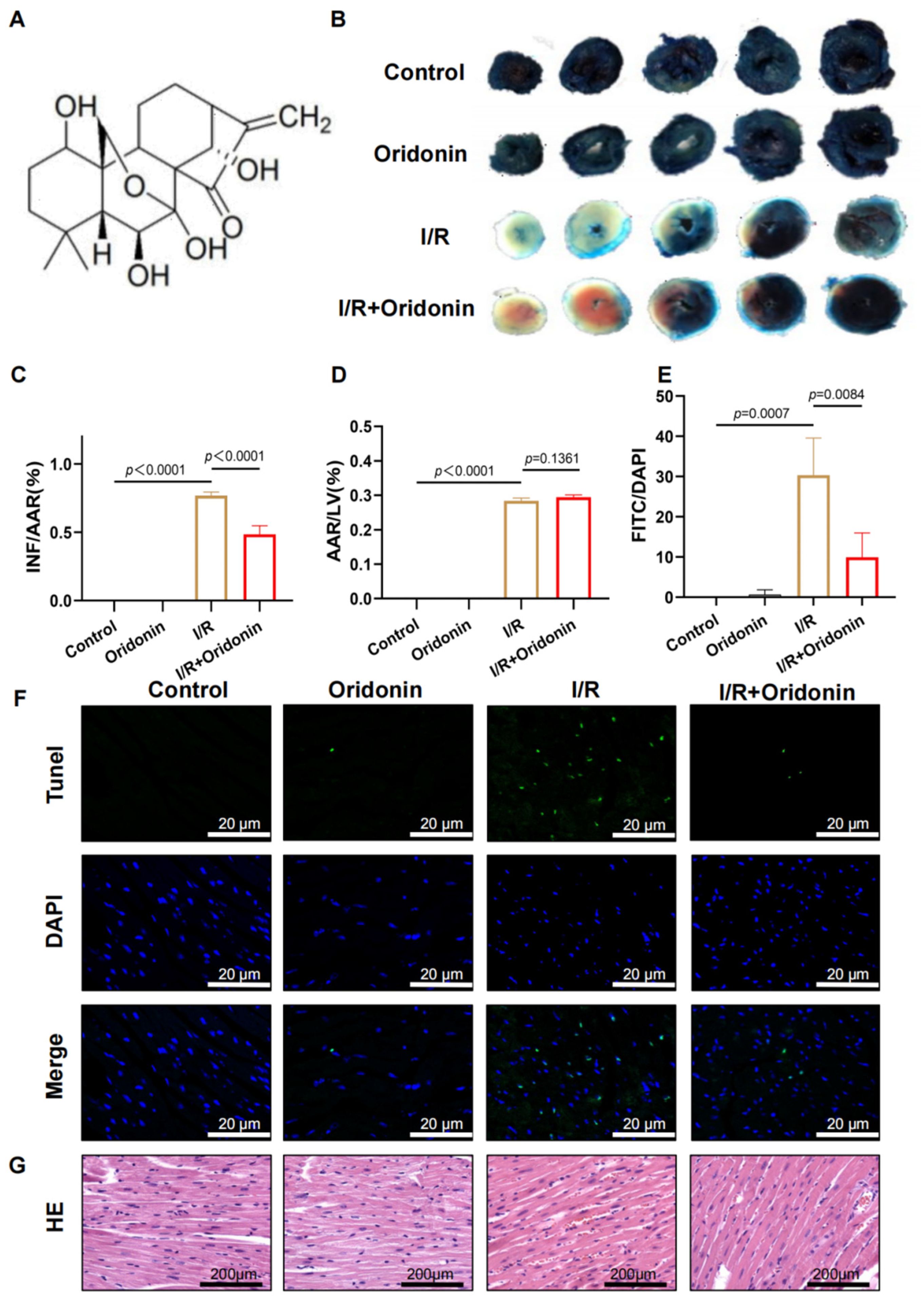 Genes 13 02133 g001 Genes 13 02133 g001