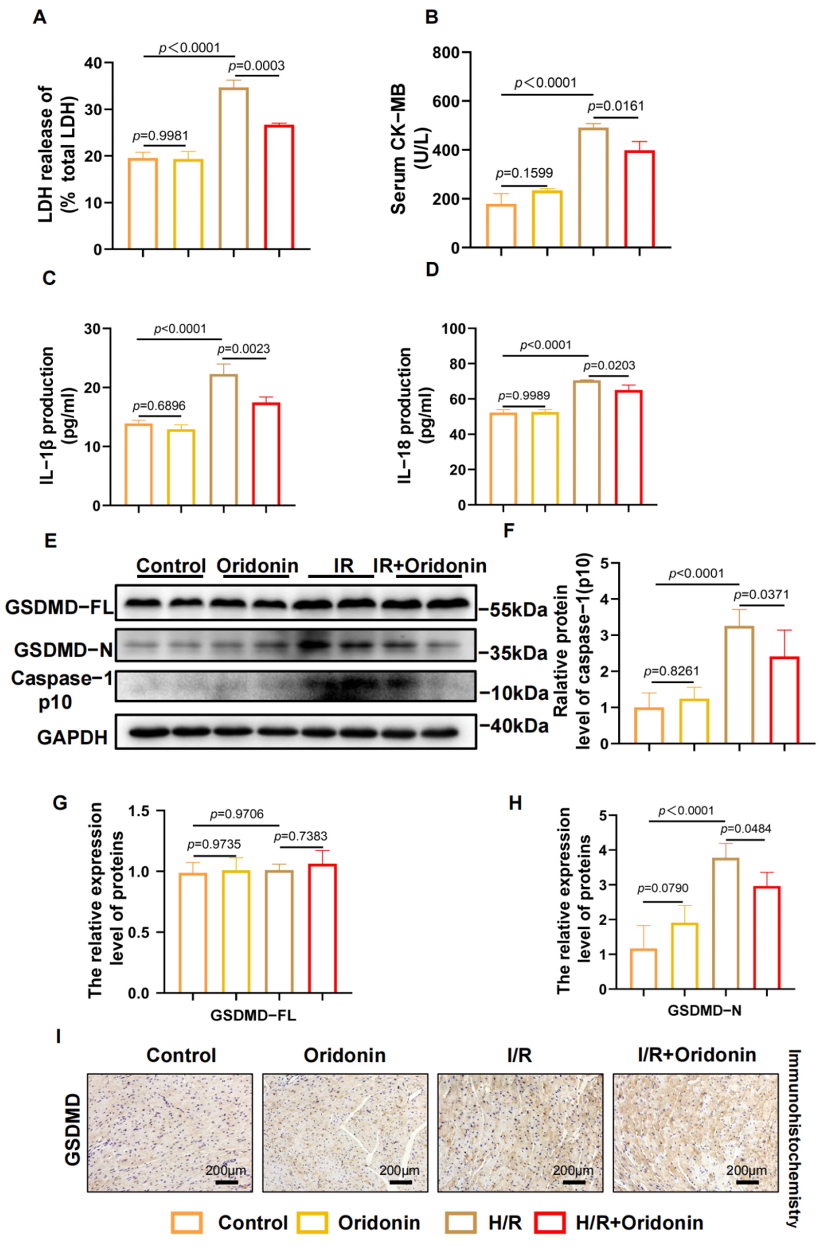 Genes 13 02133 g002 Genes 13 02133 g002