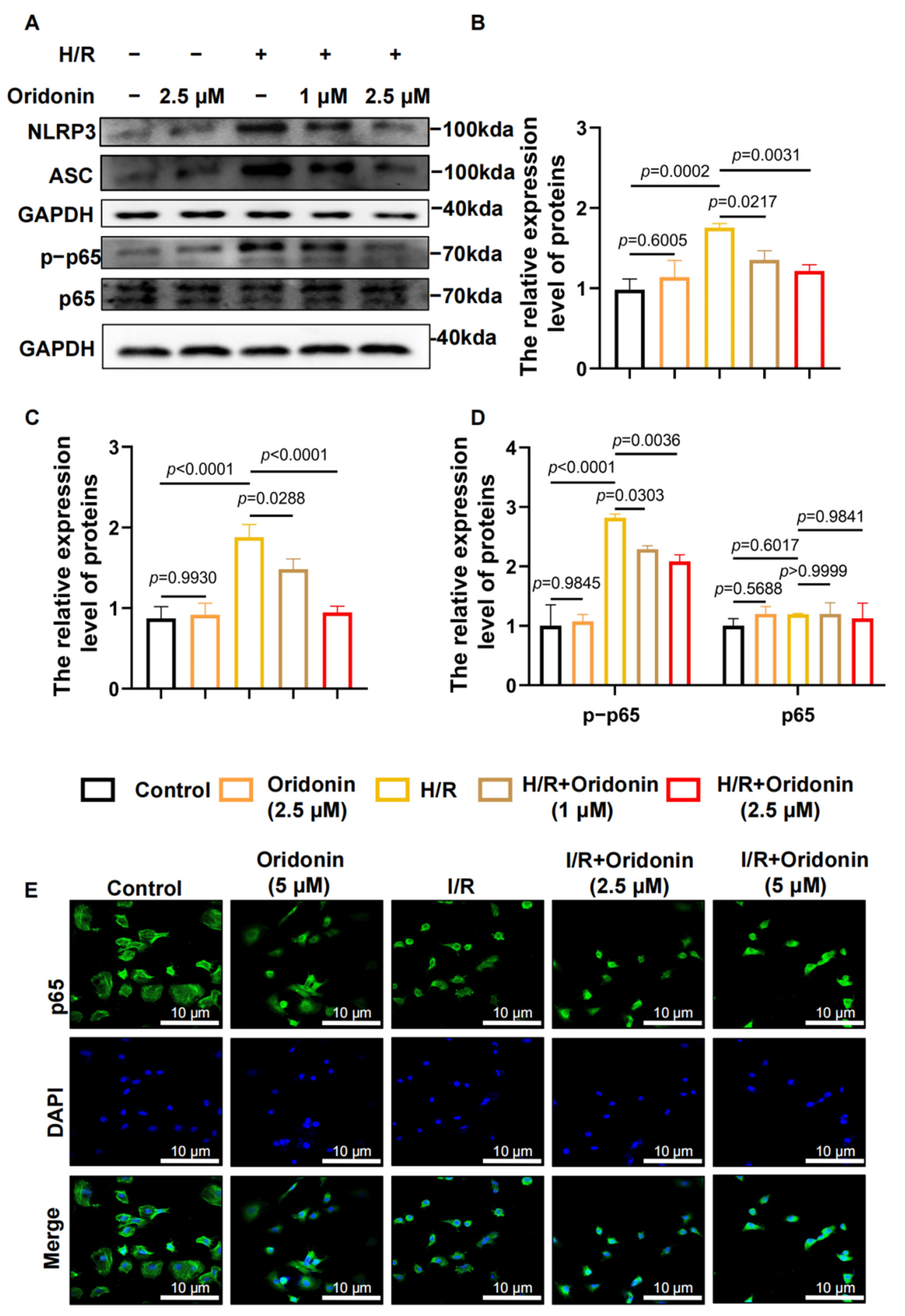 Genes 13 02133 g004 Genes 13 02133 g004