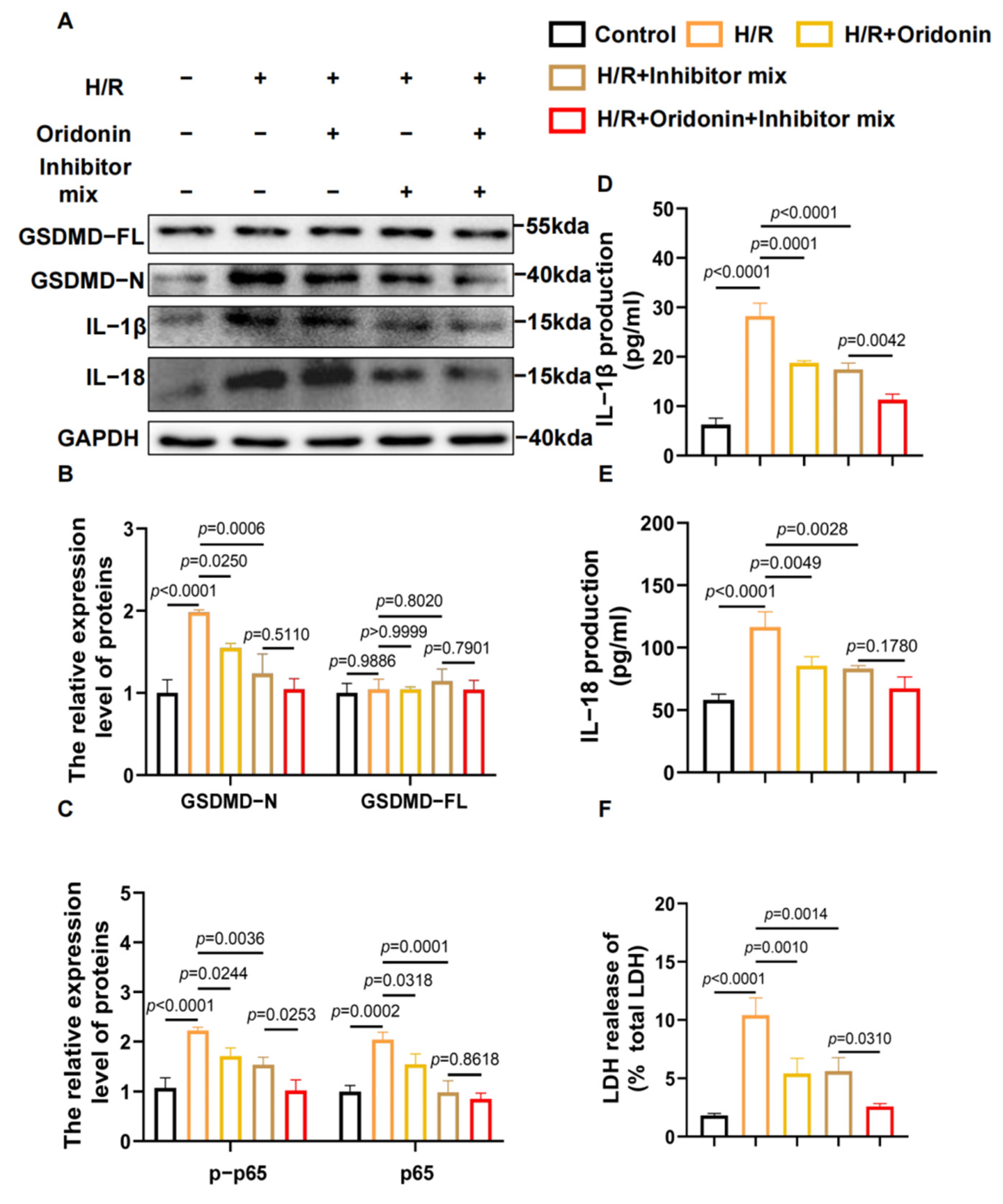 Genes 13 02133 g005 Genes 13 02133 g005