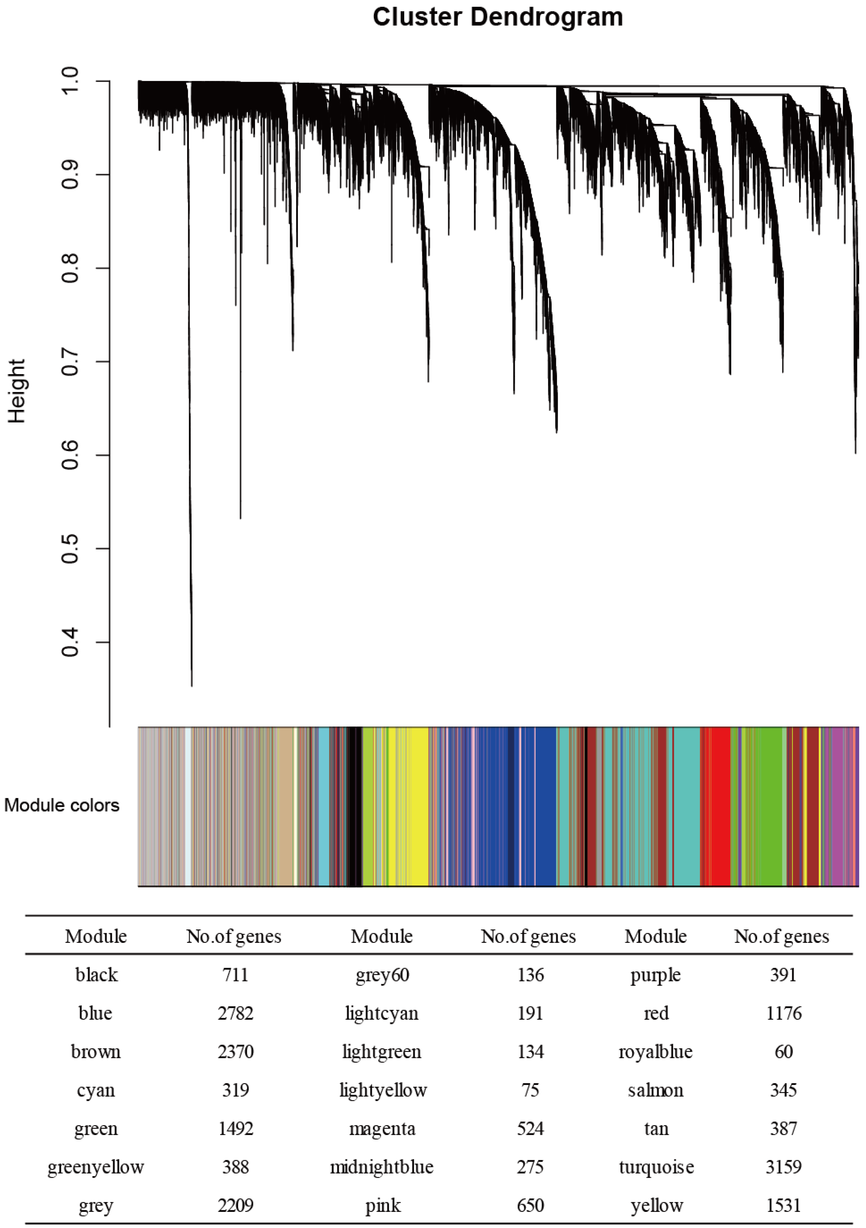 Genes 13 02134 g001 Genes 13 02134 g001