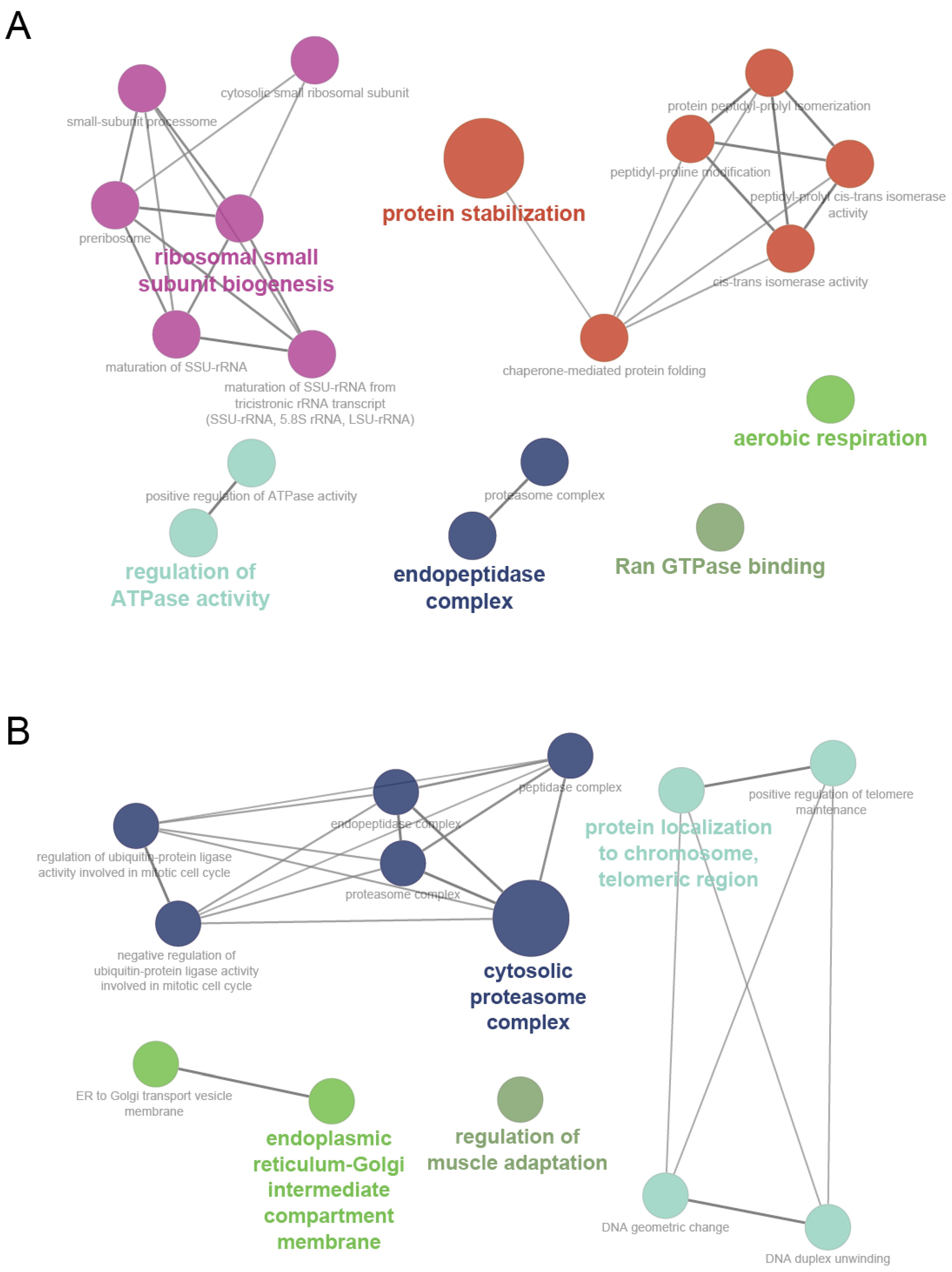Genes 13 02134 g005 Genes 13 02134 g005