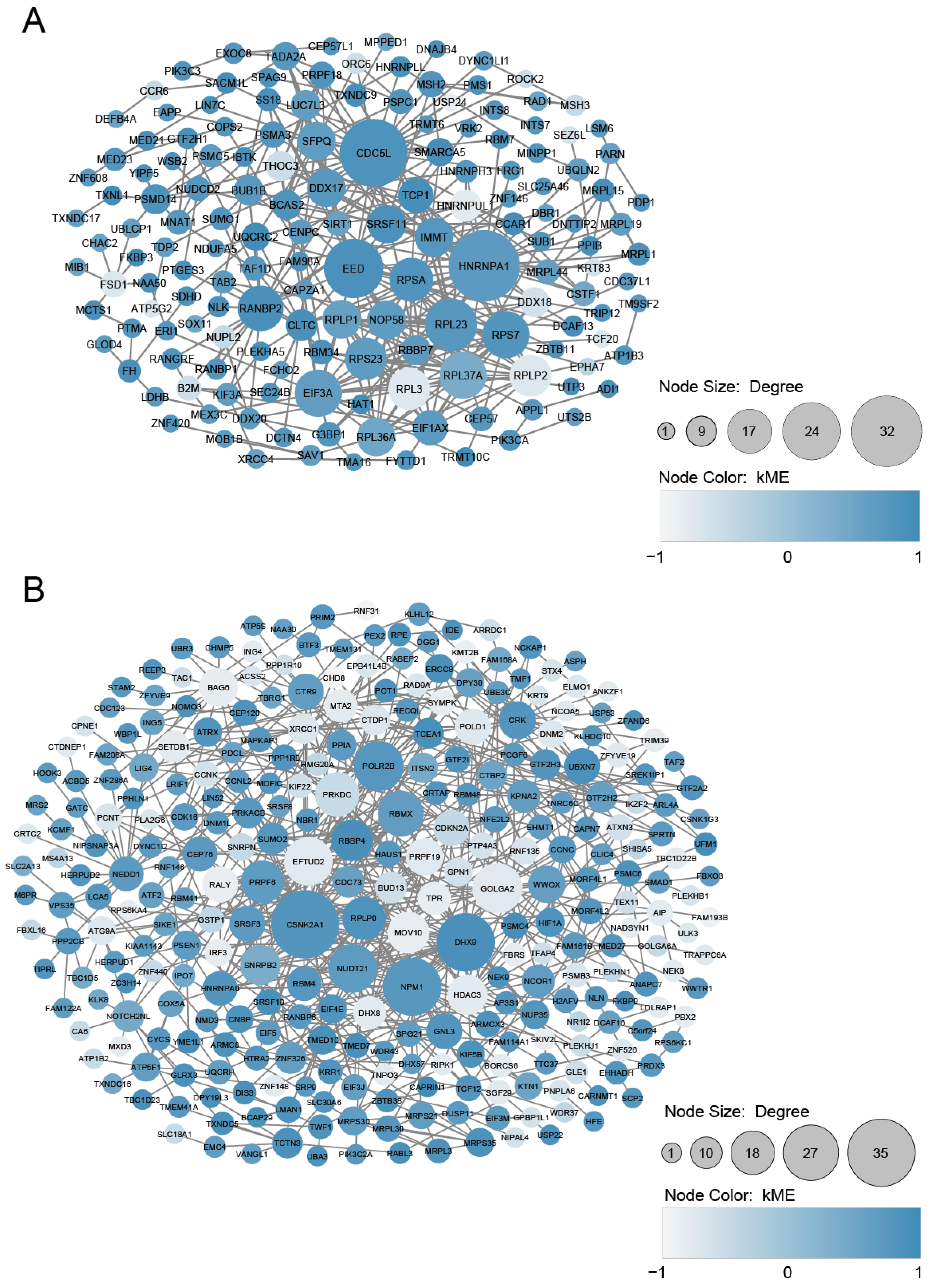 Genes 13 02134 g006 Genes 13 02134 g006