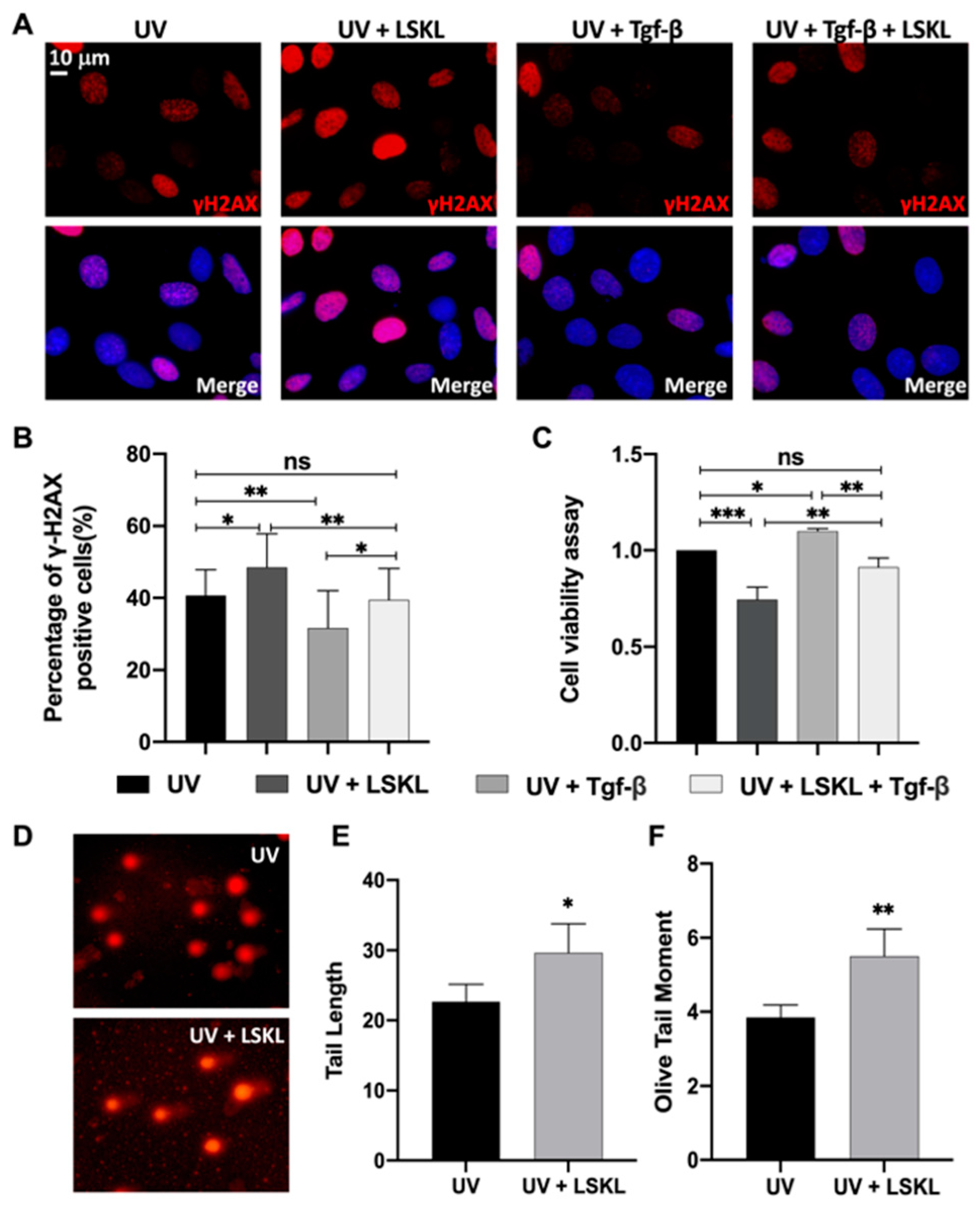 Genes 13 02140 g001 Genes 13 02140 g001