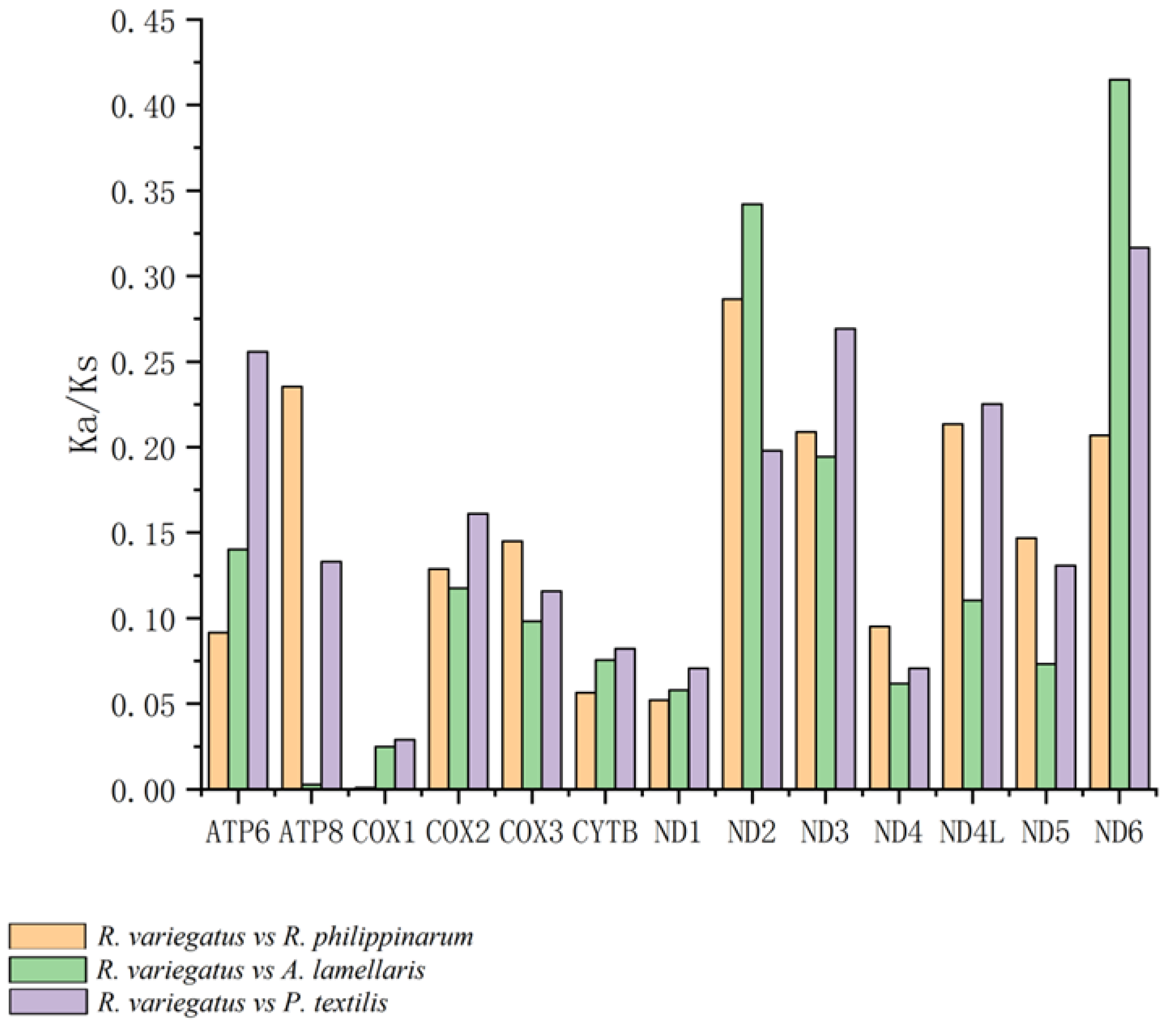 Genes 13 02157 g010 Genes 13 02157 g010