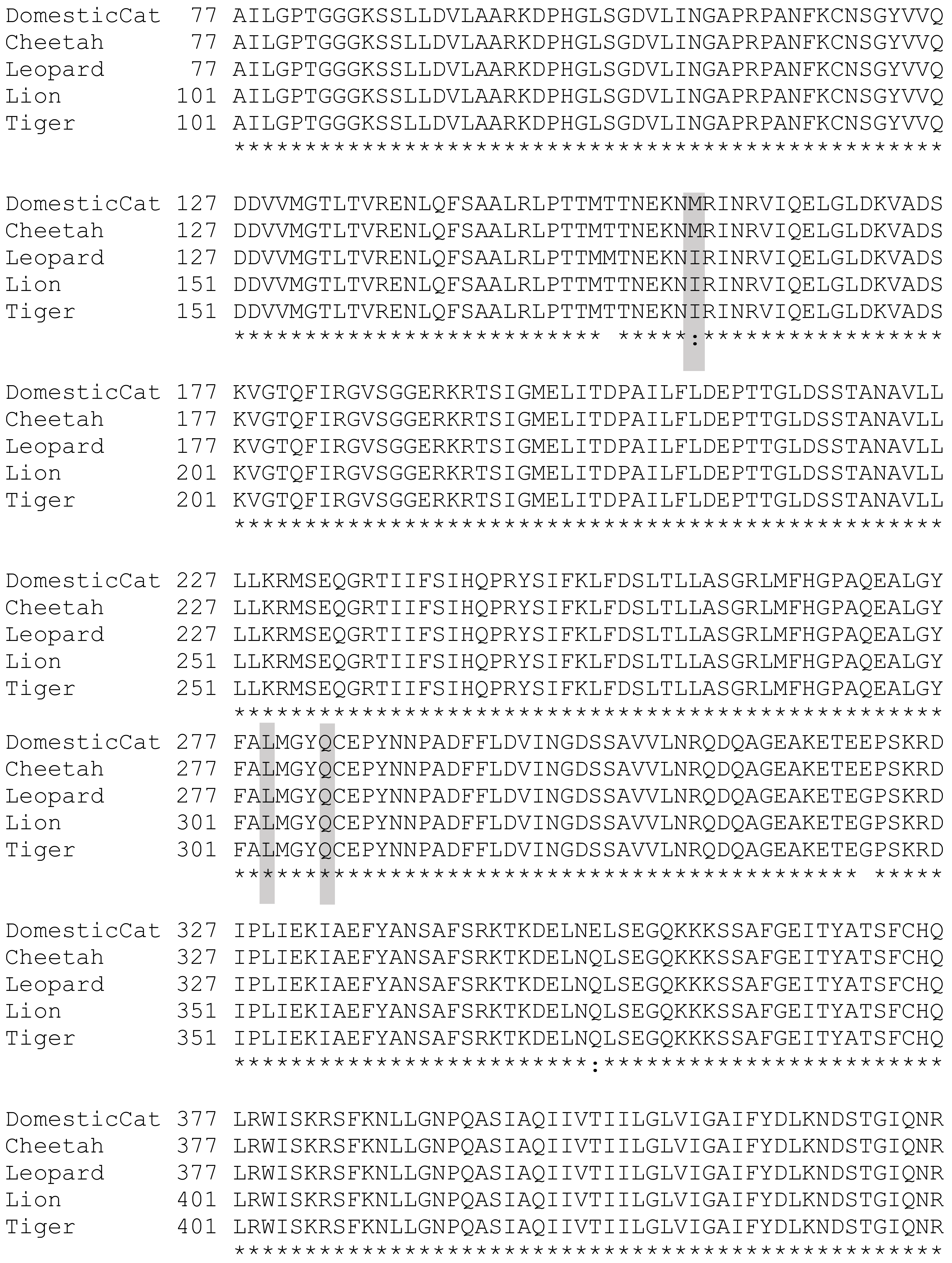Genes 13 02178 g0a1b Genes 13 02178 g0a1b