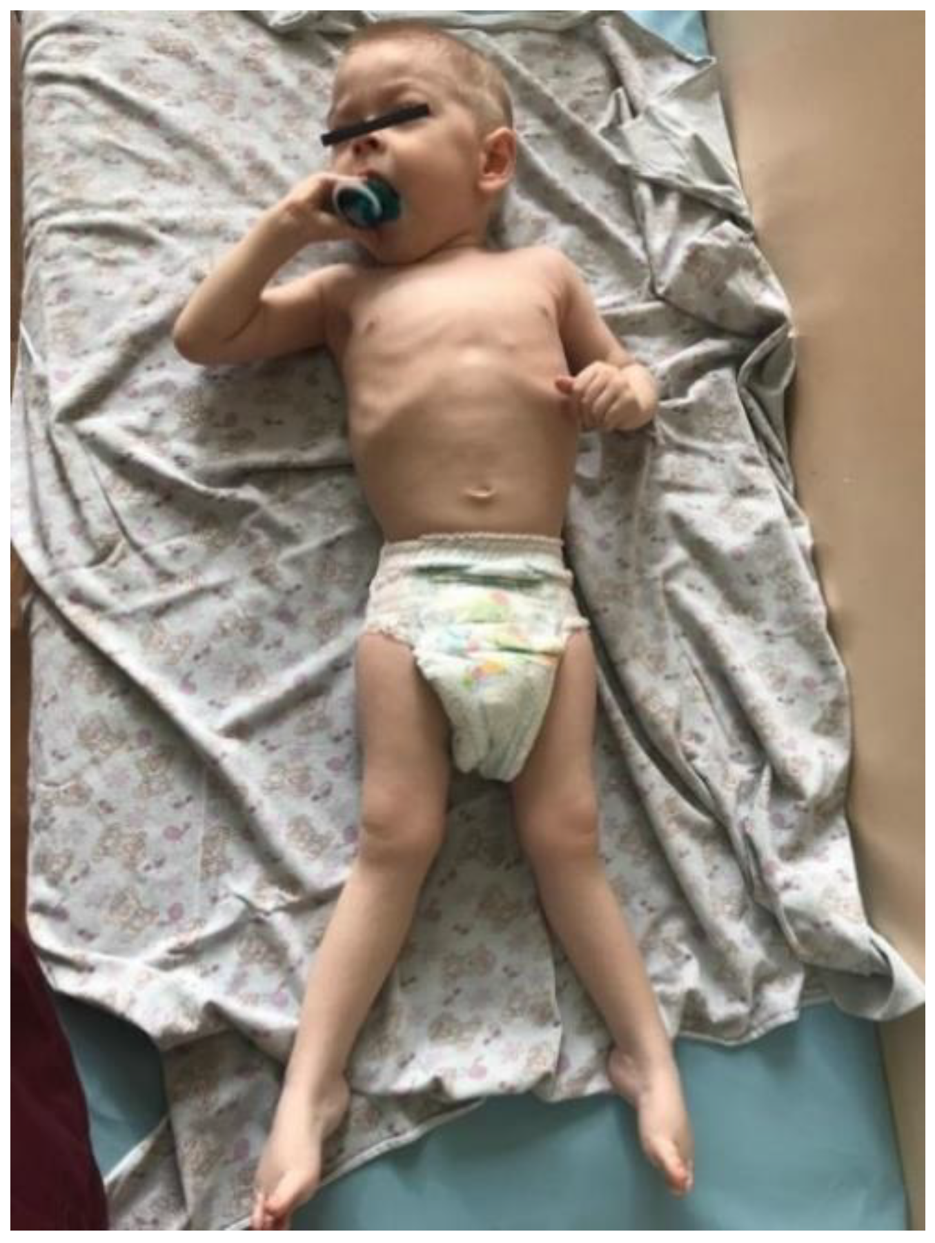 Genes 13 02186 g002 Genes 13 02186 g002