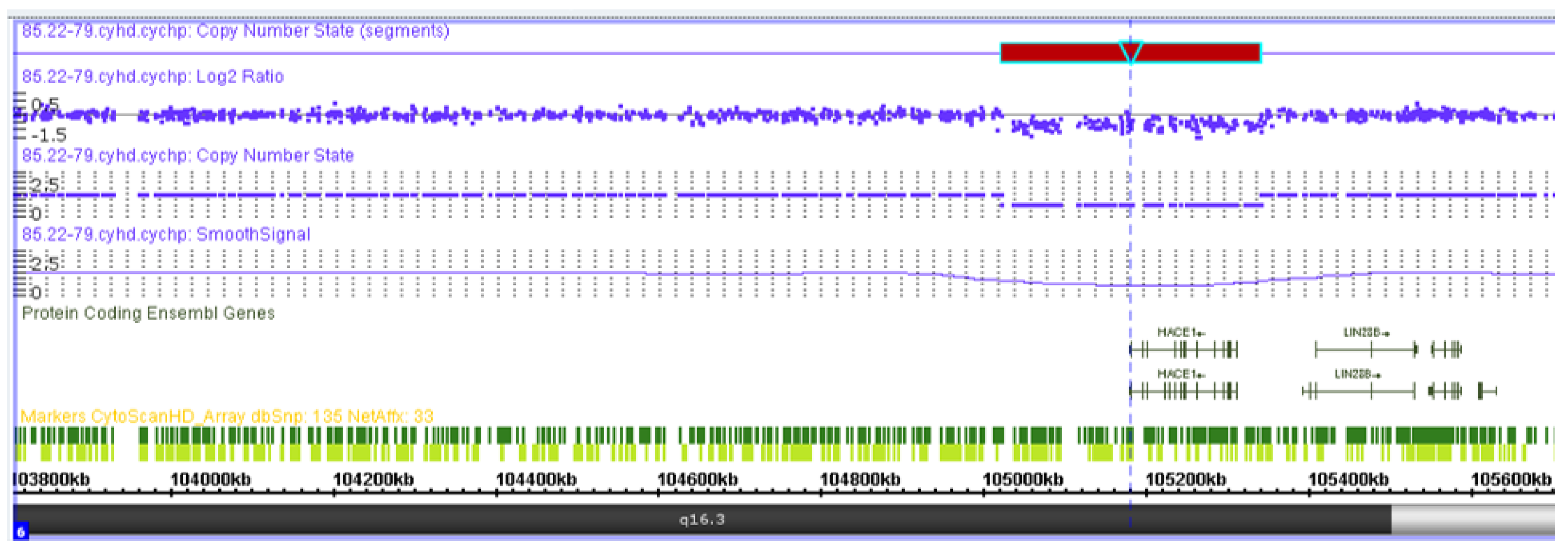 Genes 13 02186 g007 Genes 13 02186 g007