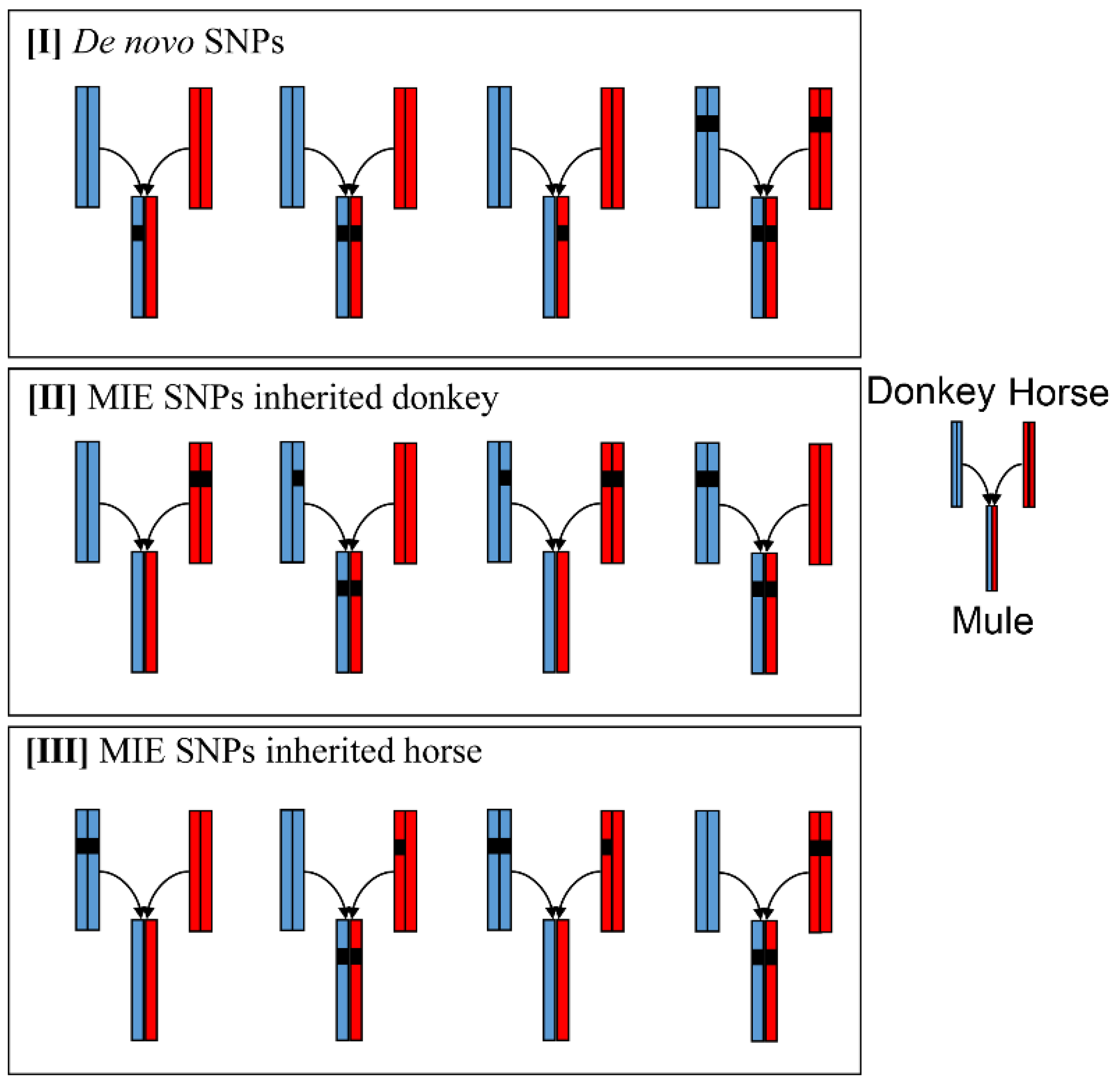 Genes | Free Full-Text | Analysis of the Whole-Genome Sequences from an  Equus Parent-Offspring Trio Provides Insight into the Genomic  Incompatibilities in the Hybrid Mule