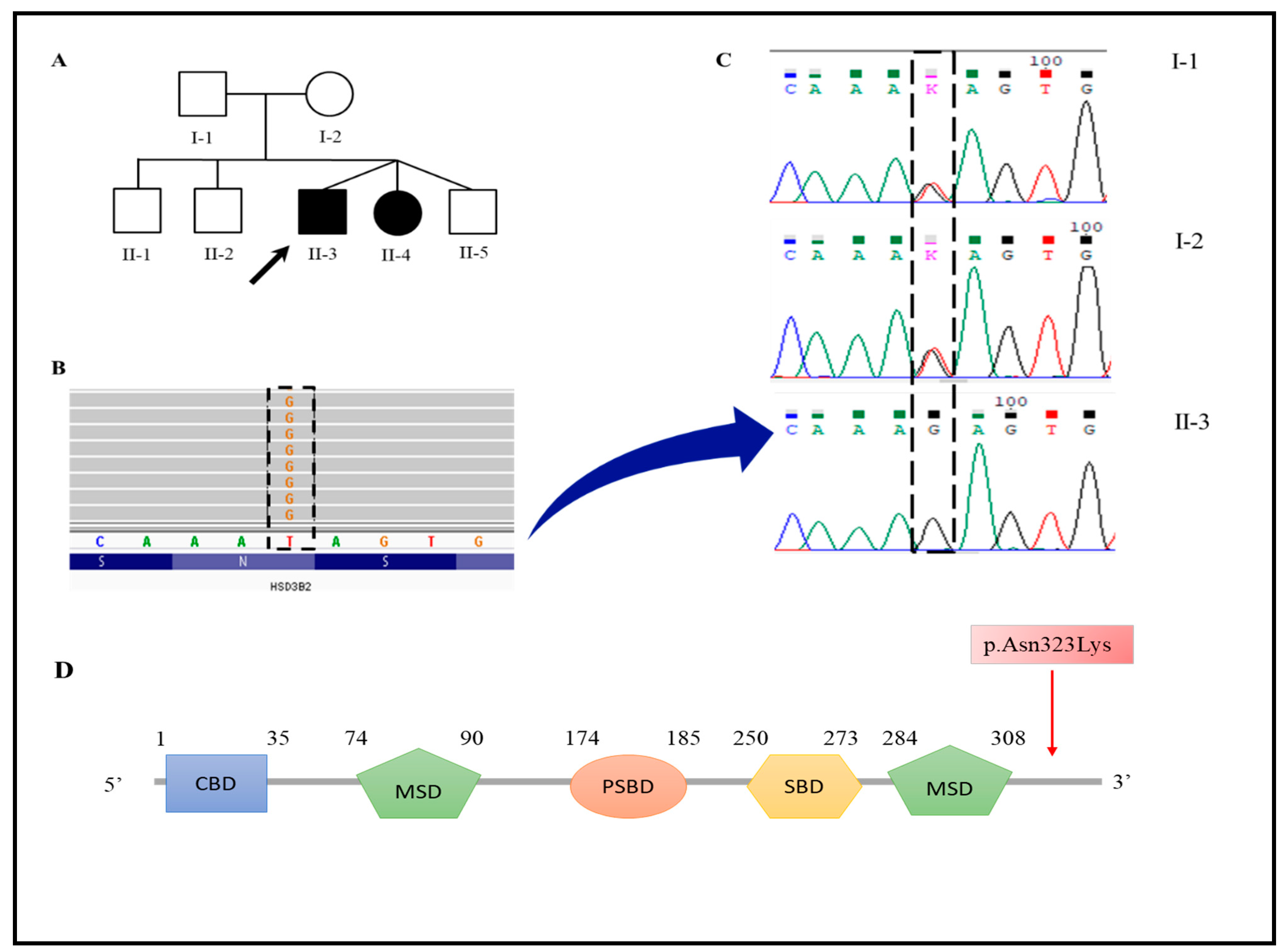 Genes 13 02190 g003 Genes 13 02190 g003