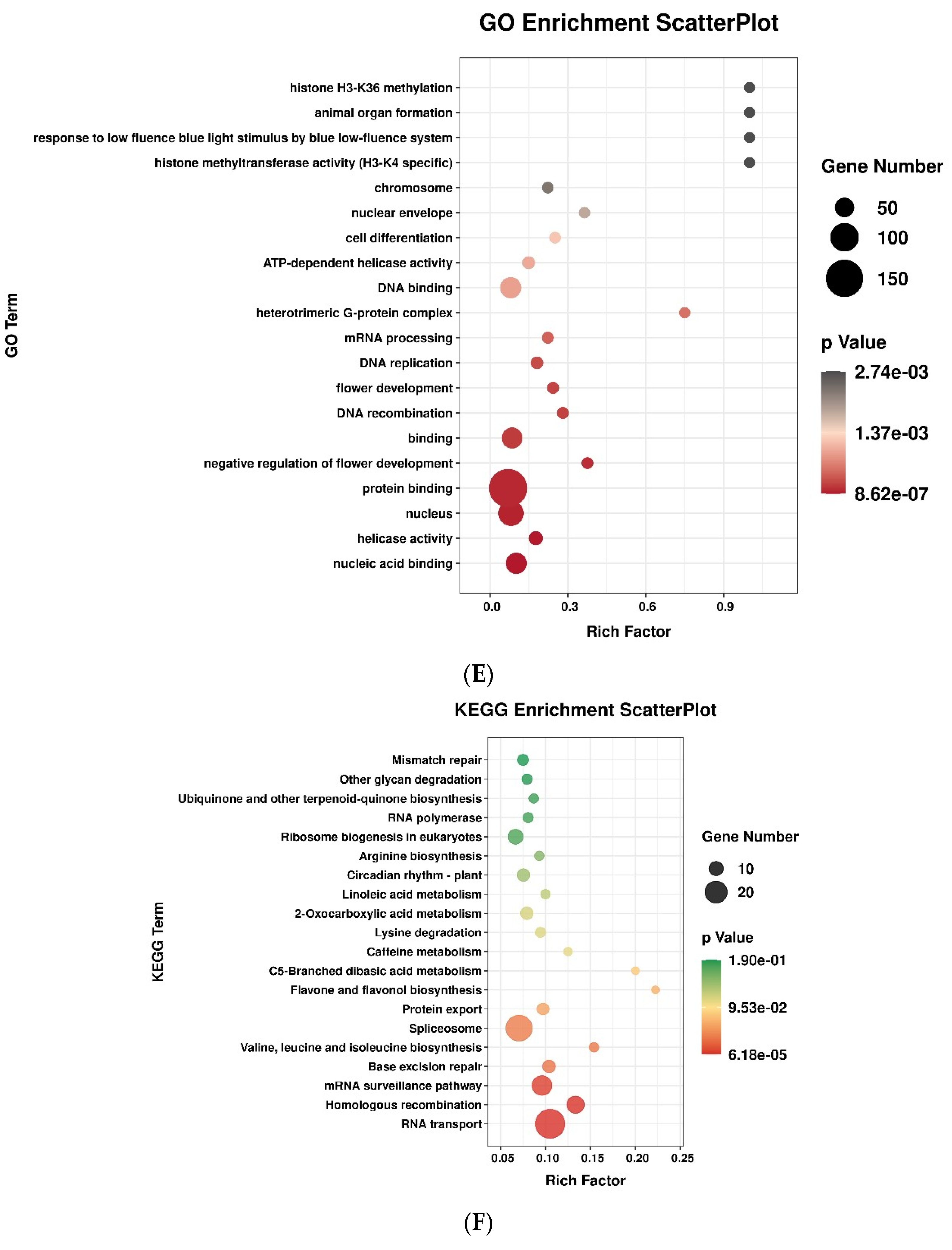 Genes 13 02217 g001c