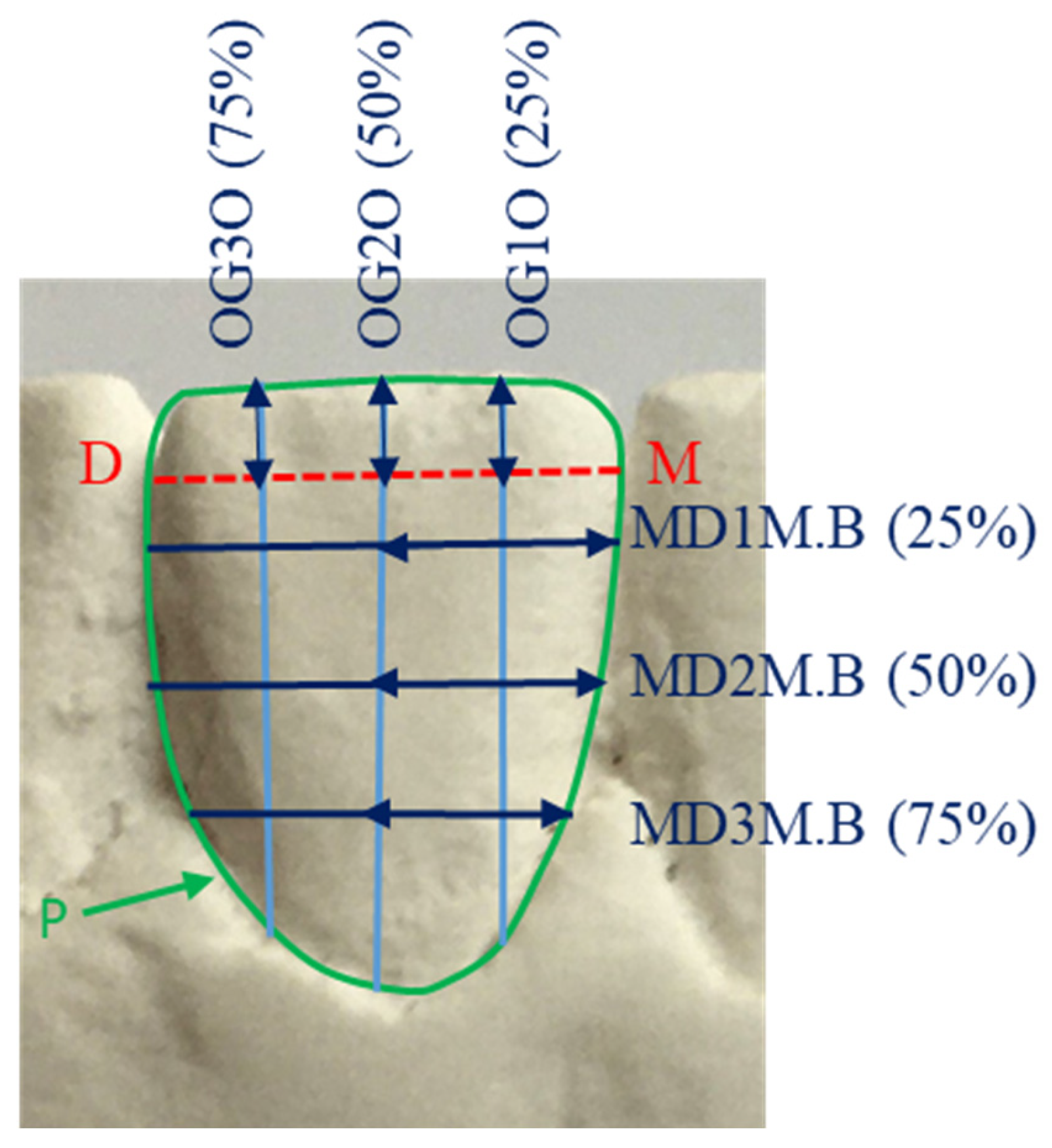 Genes 13 02232 g002 Genes 13 02232 g002