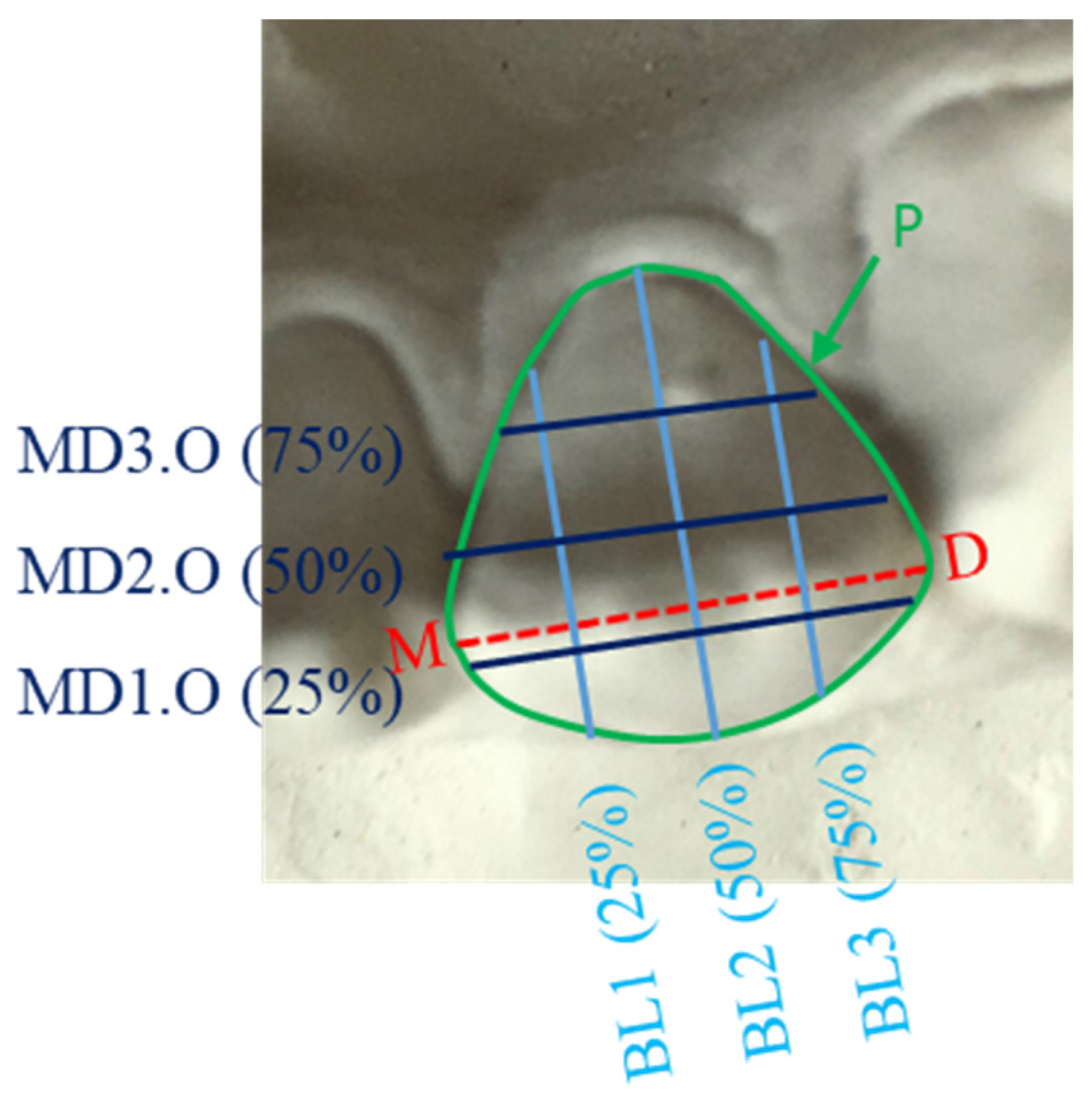 Genes 13 02232 g003 Genes 13 02232 g003
