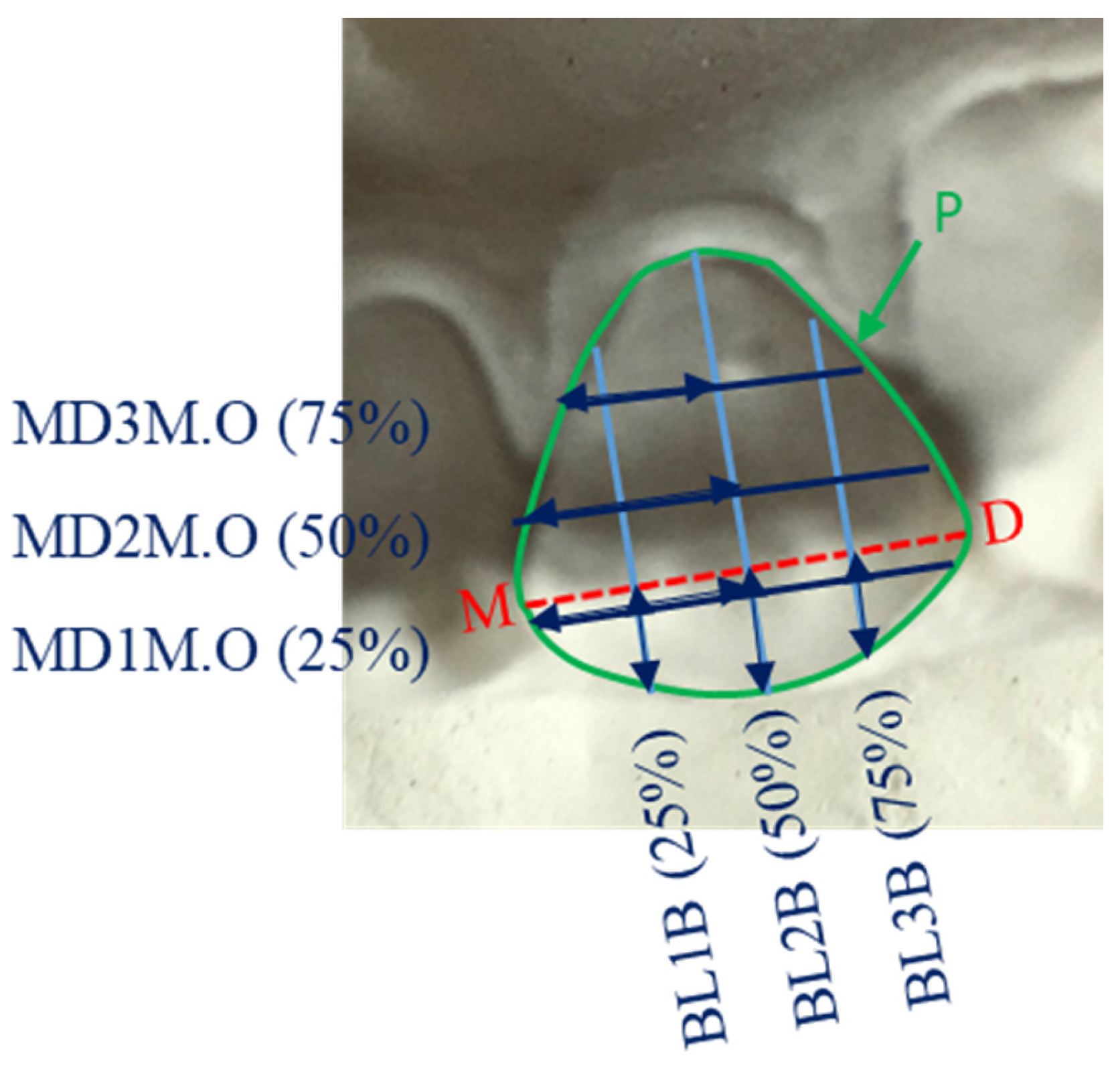 Genes 13 02232 g004 Genes 13 02232 g004