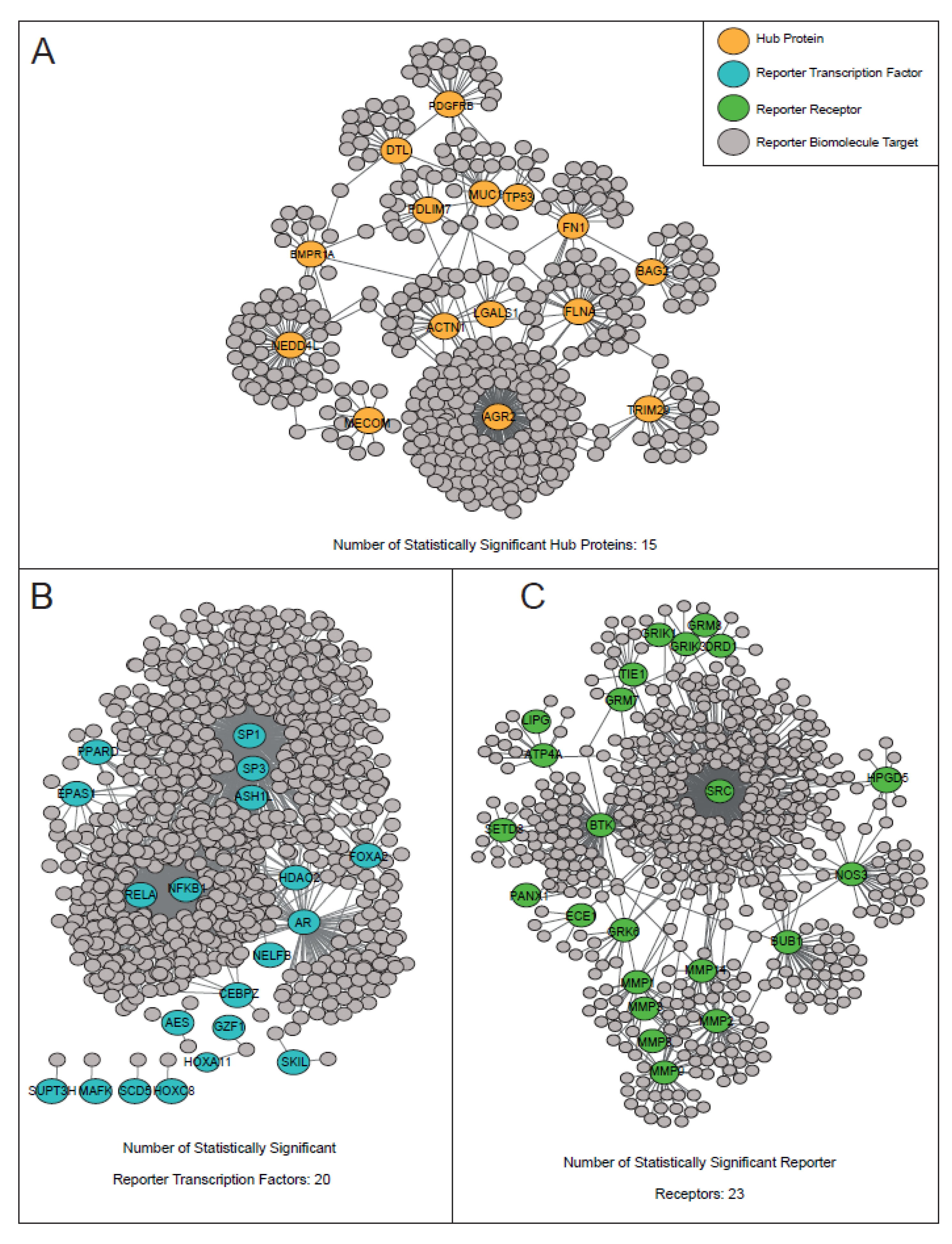 Genes 13 02233 g003 Genes 13 02233 g003