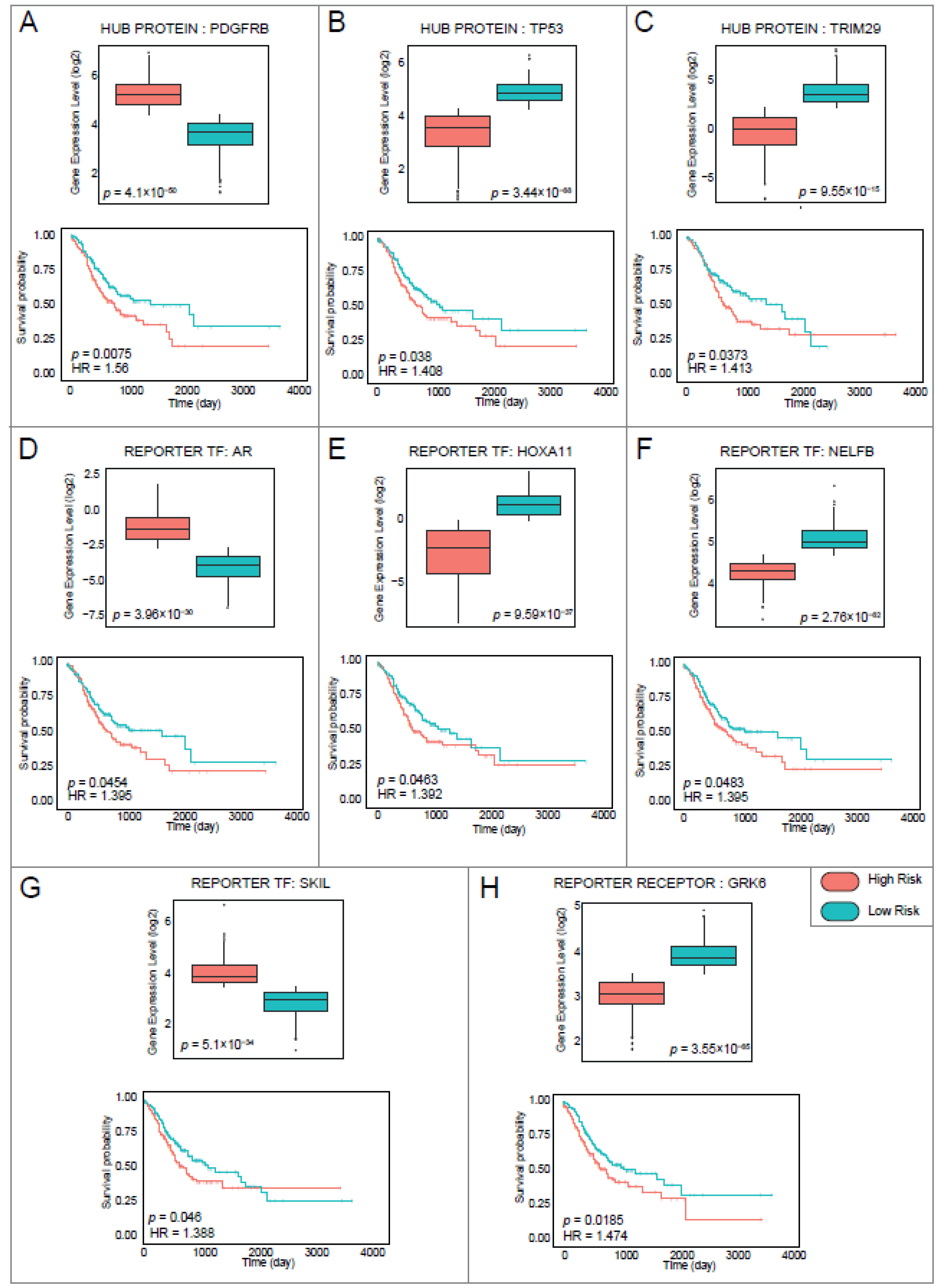 Genes 13 02233 g005 Genes 13 02233 g005