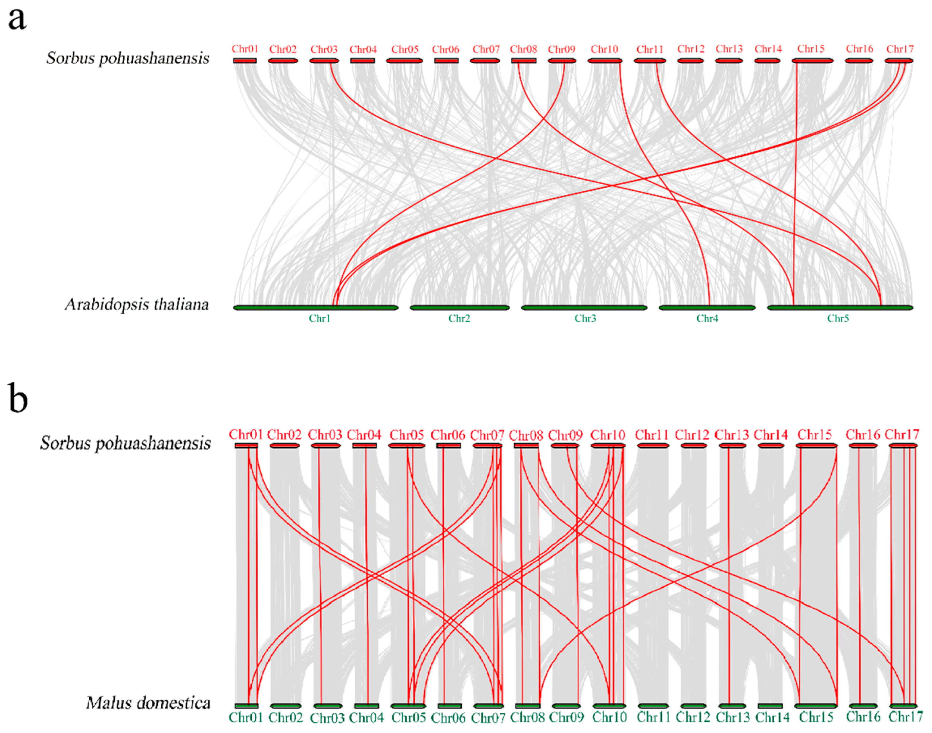 Genes 13 02241 g005 Genes 13 02241 g005