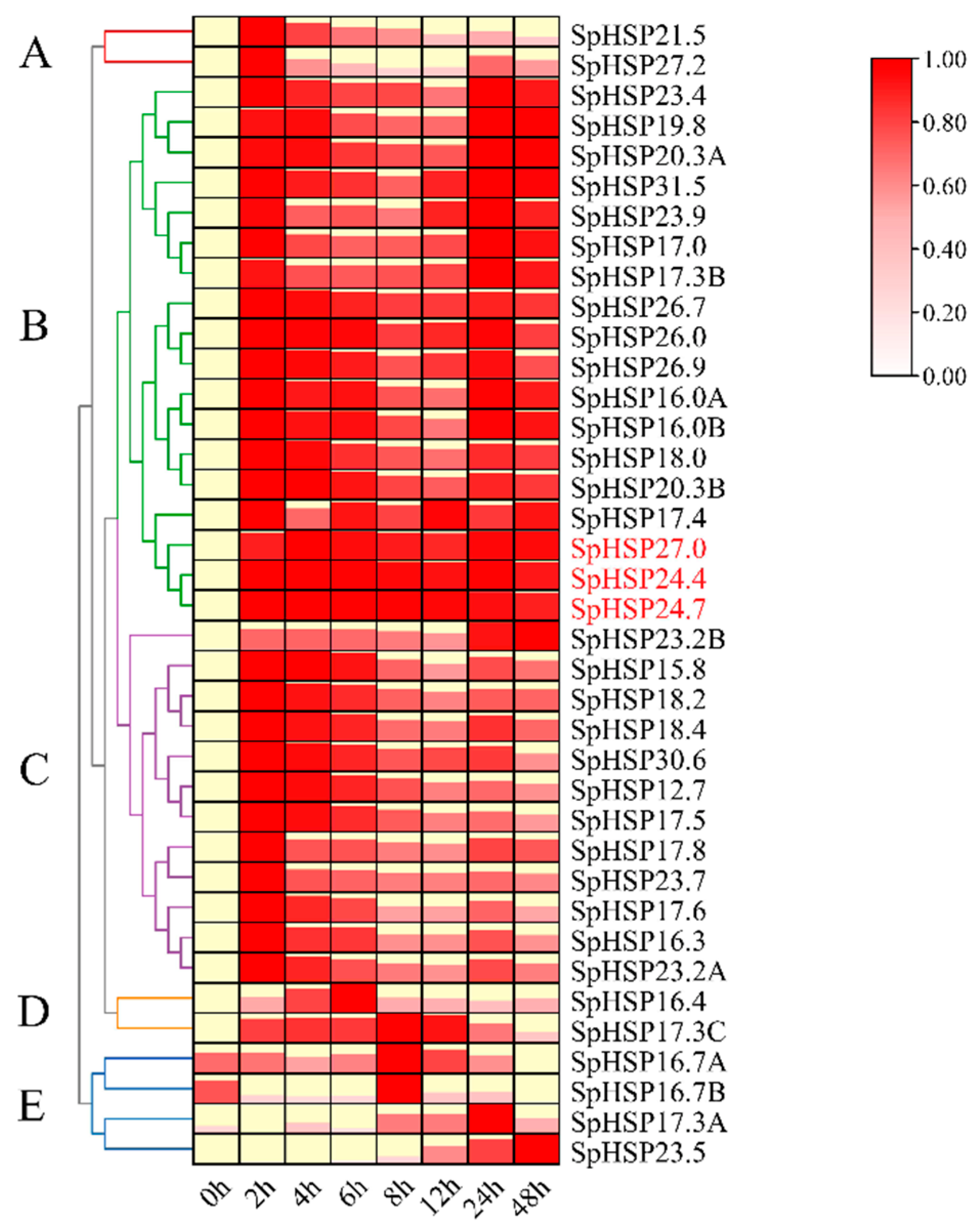 Genes 13 02241 g007 Genes 13 02241 g007