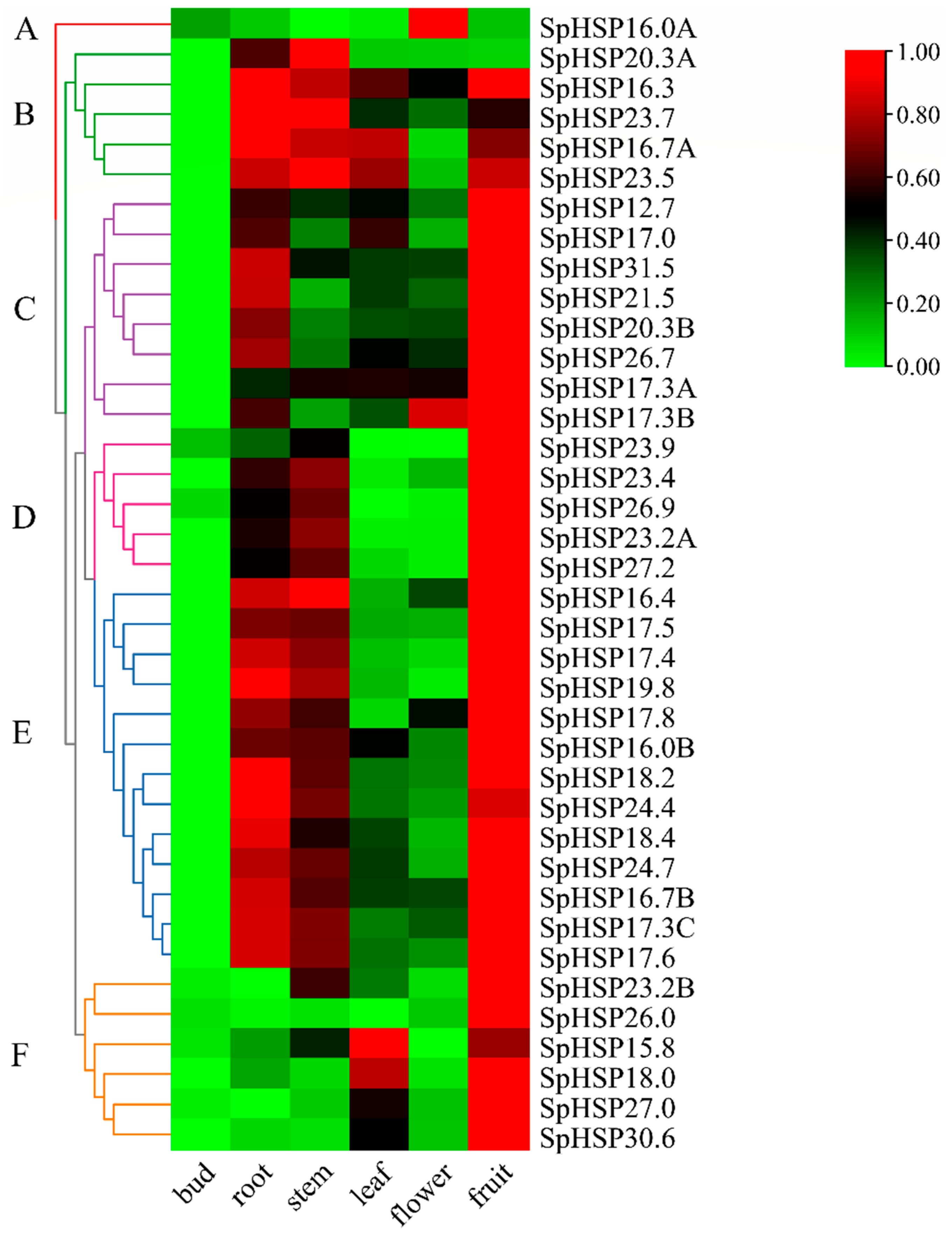 Genes 13 02241 g010 Genes 13 02241 g010