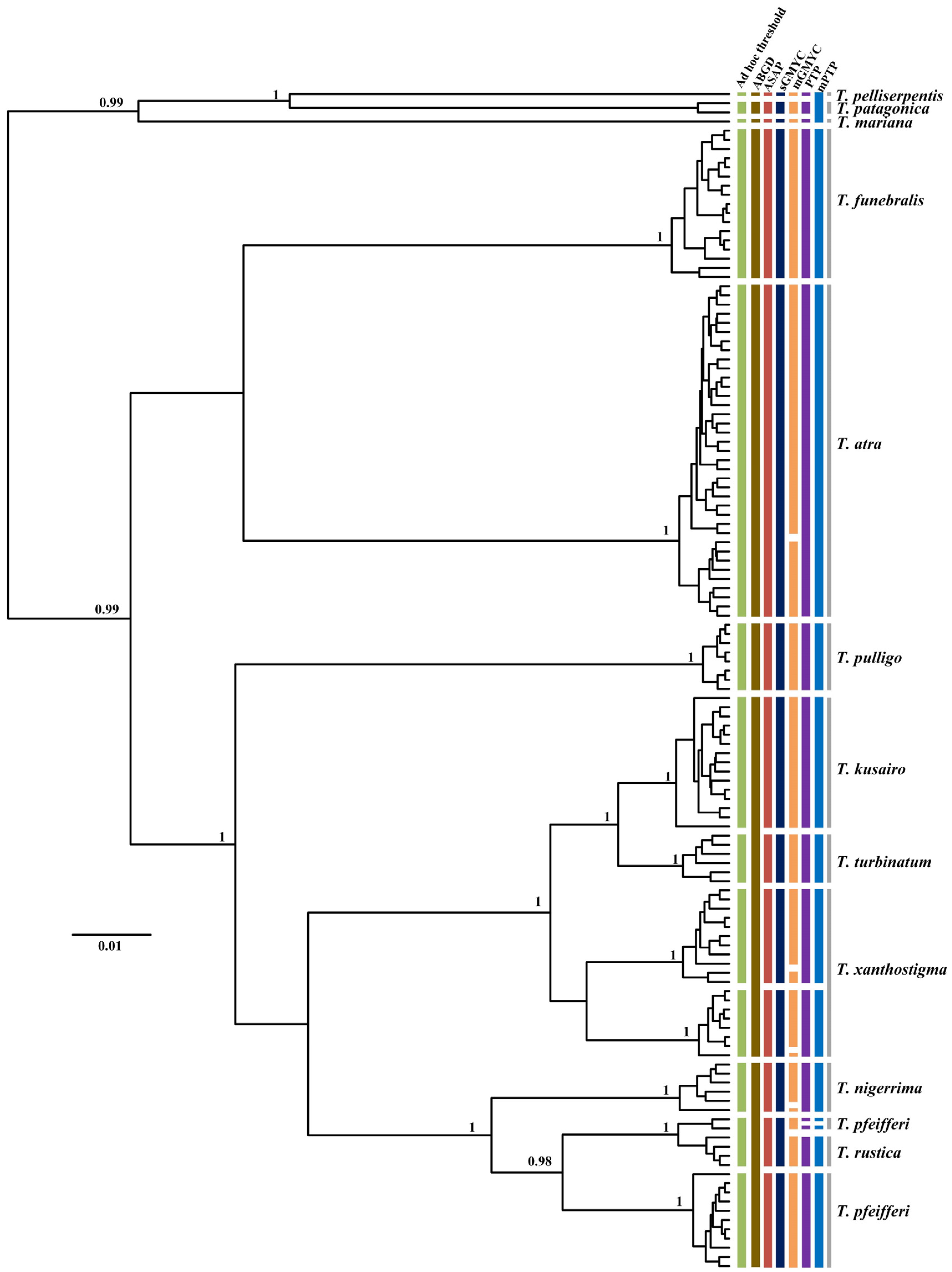 Genes 13 02273 g005 Genes 13 02273 g005