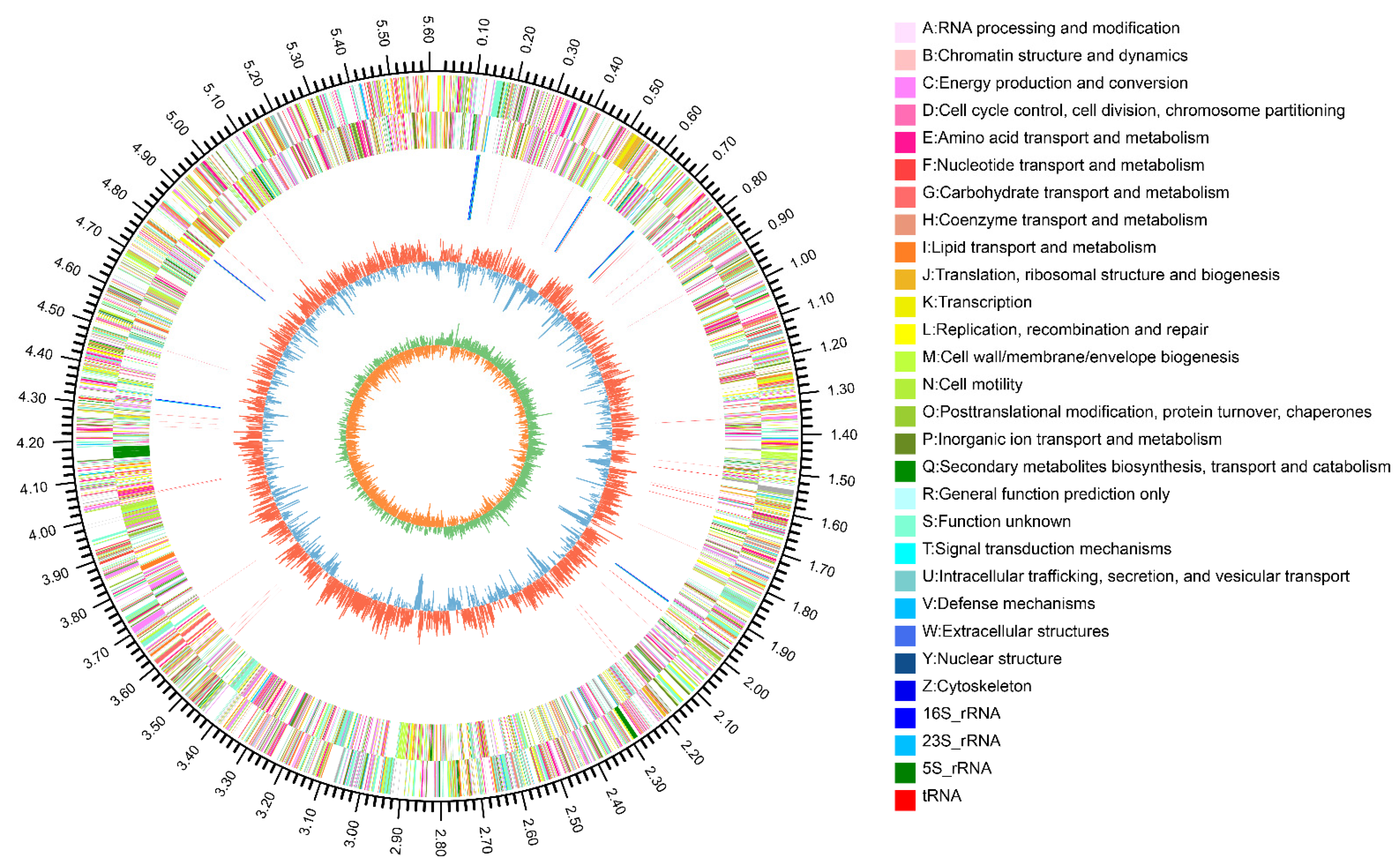 Genes 13 02290 g001 Genes 13 02290 g001