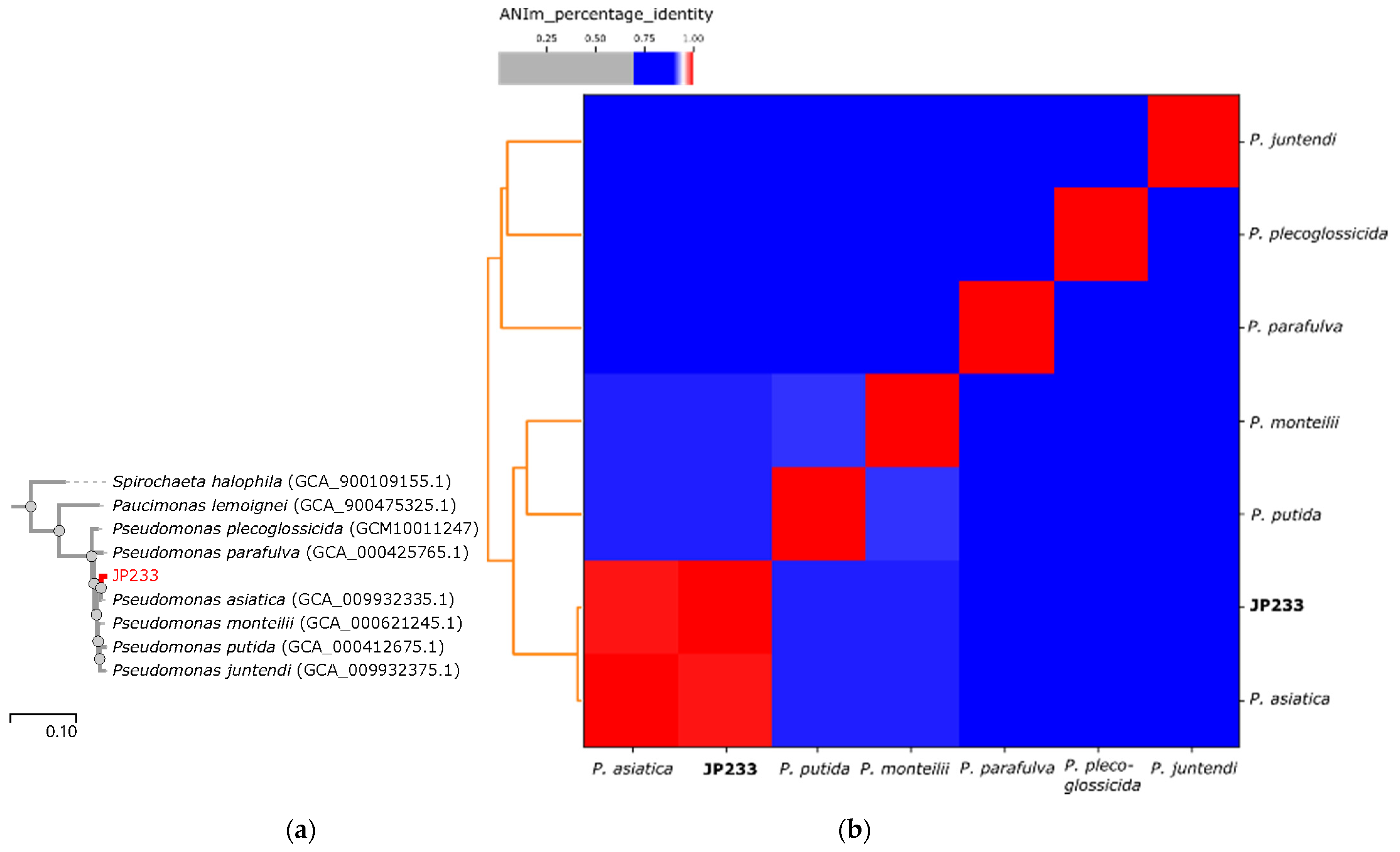 Genes 13 02290 g002 Genes 13 02290 g002