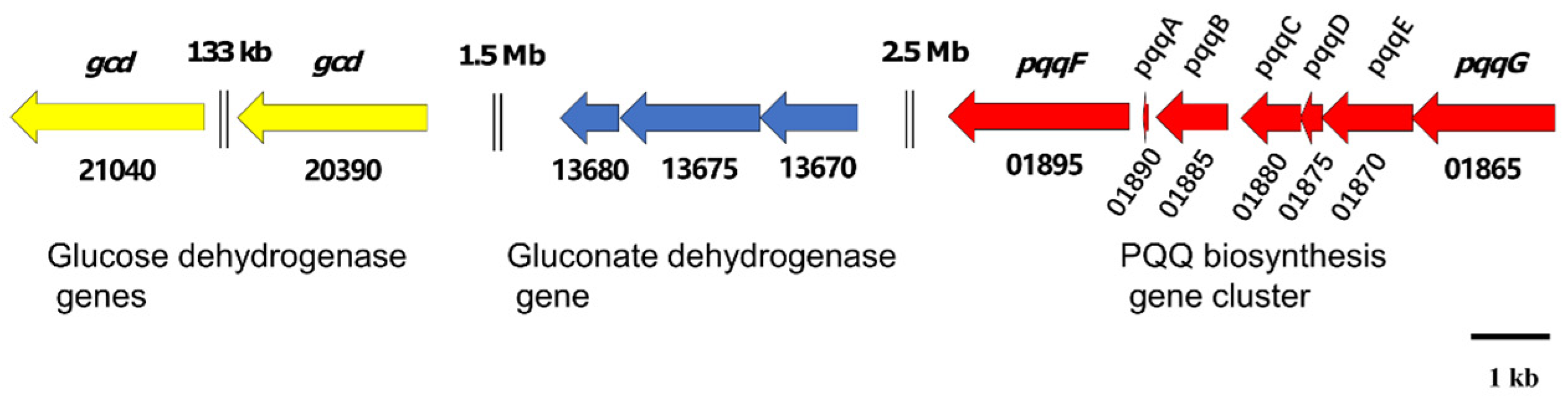 Genes 13 02290 g005 Genes 13 02290 g005