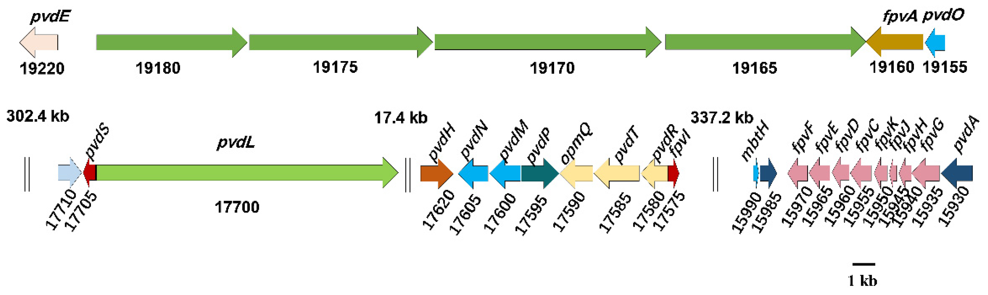 Genes 13 02290 g007 Genes 13 02290 g007