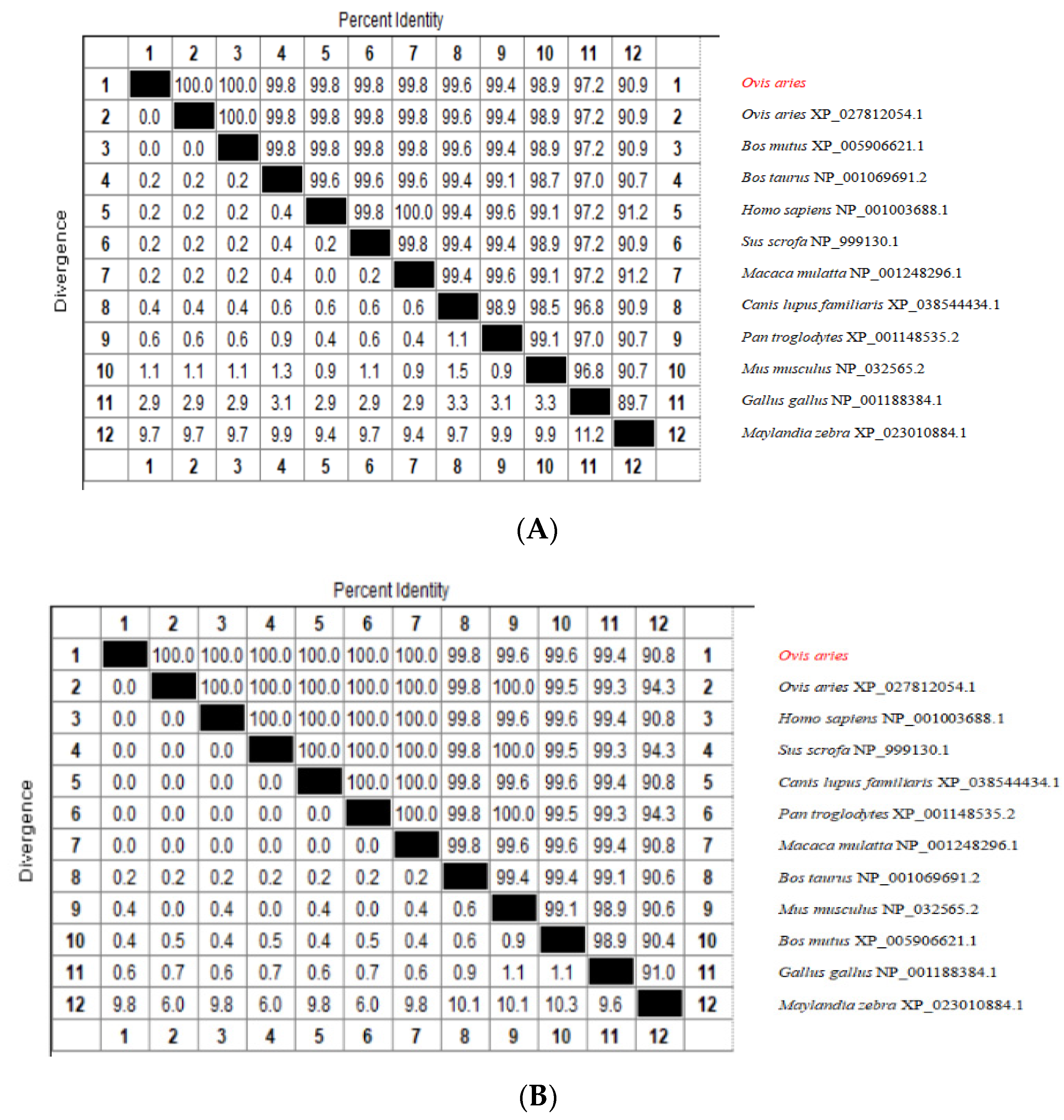 Genes | Free Full-Text | Expression and Polymorphisms of SMAD1