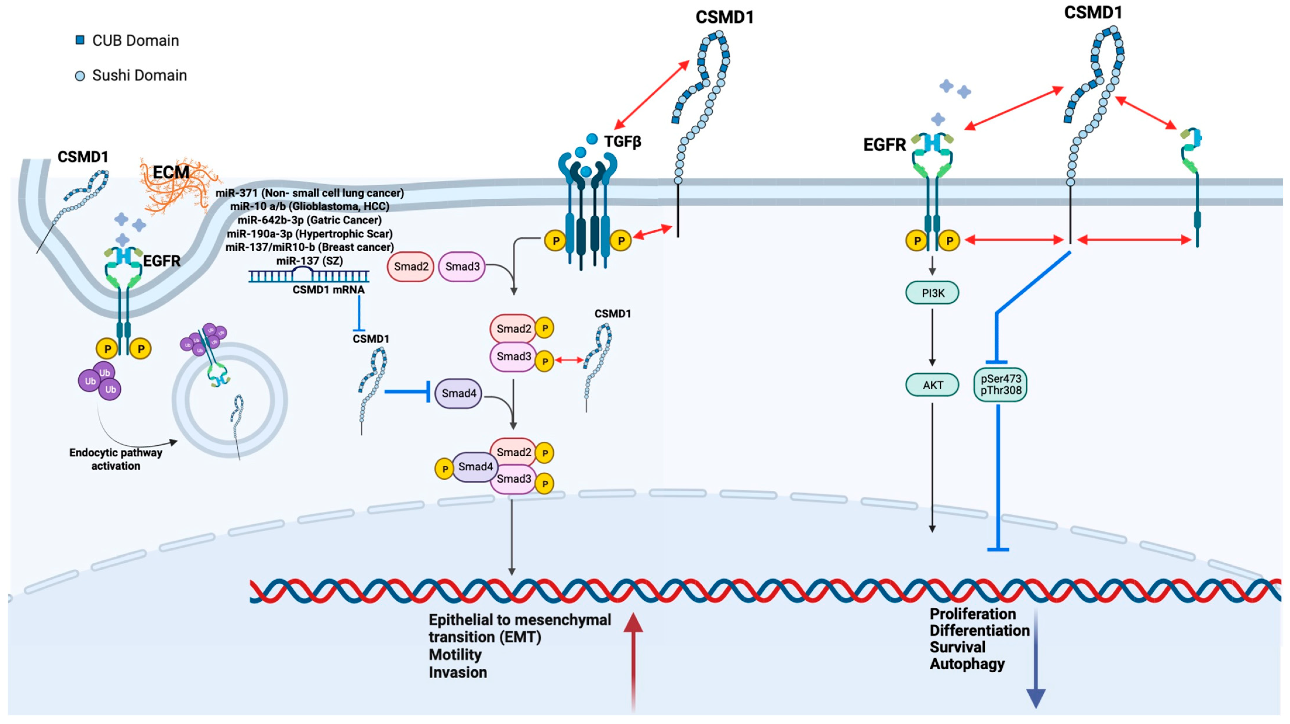 Genes 13 02332 g003 Genes 13 02332 g003