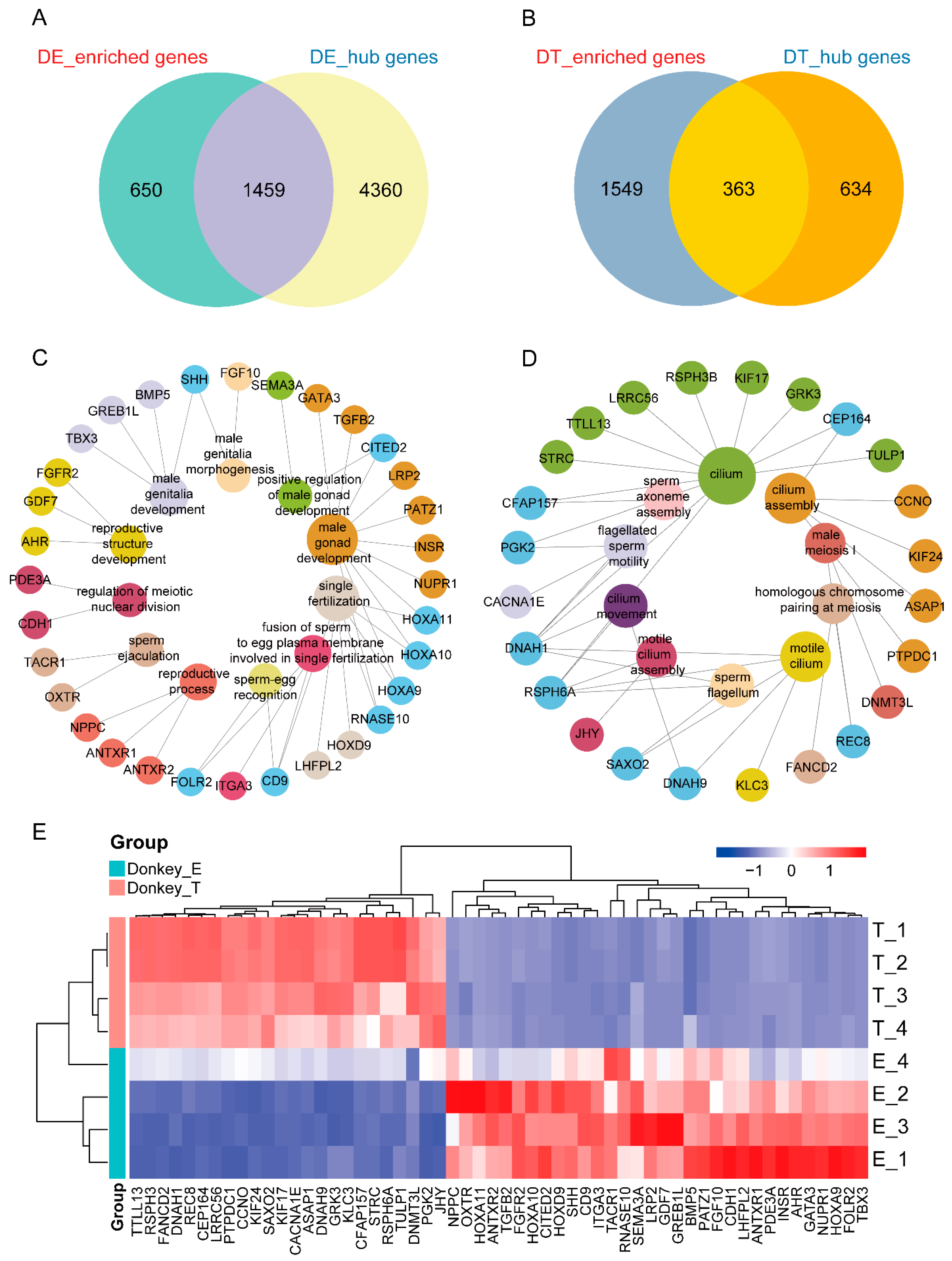 Genes 13 02339 g004 Genes 13 02339 g004