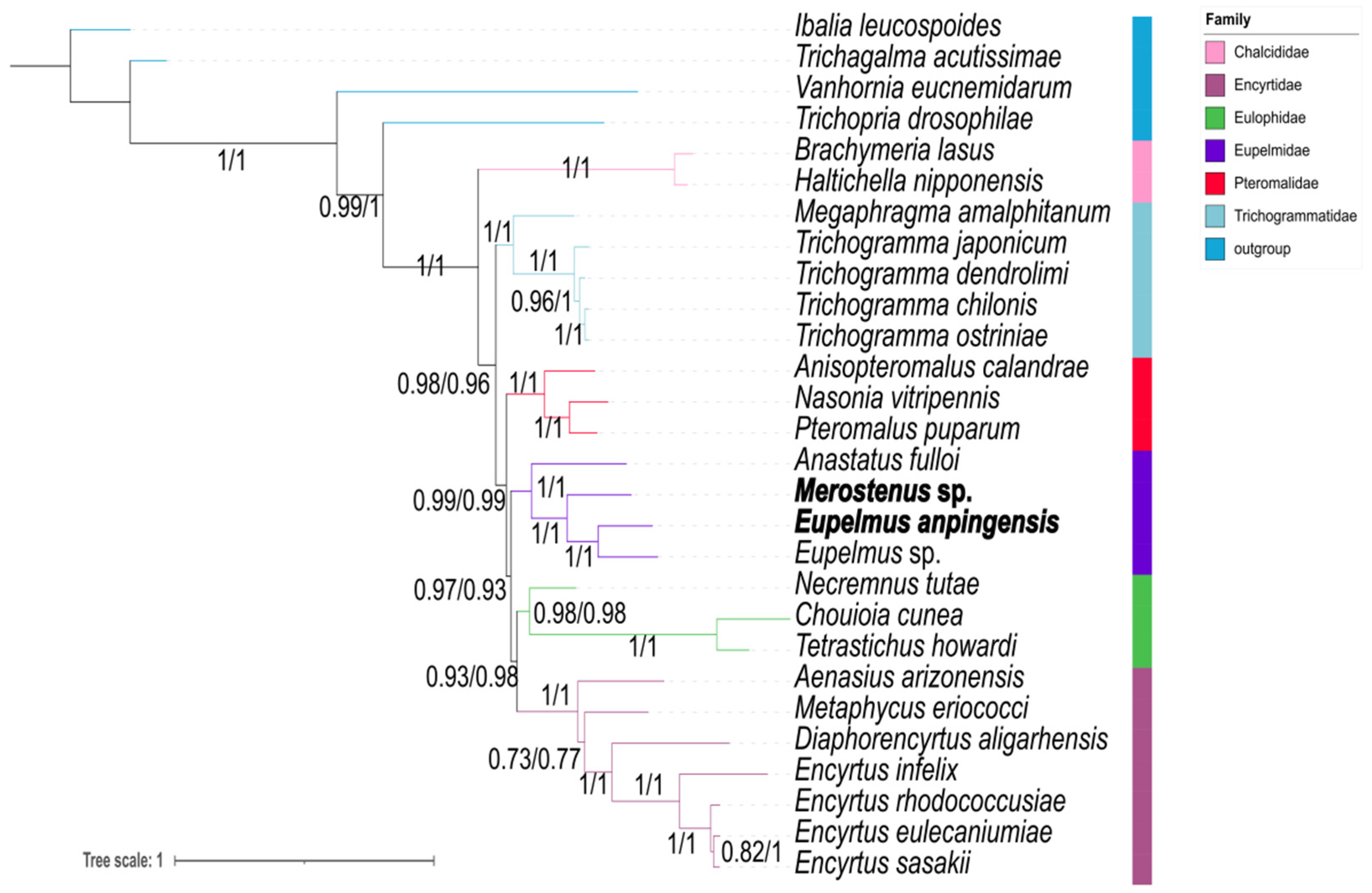 Genes 13 02340 g008 Genes 13 02340 g008