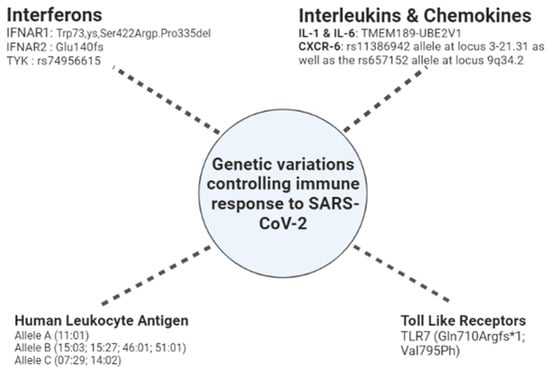 Genes | Free Full-Text | Genetic Variants And Protective Immunity ...