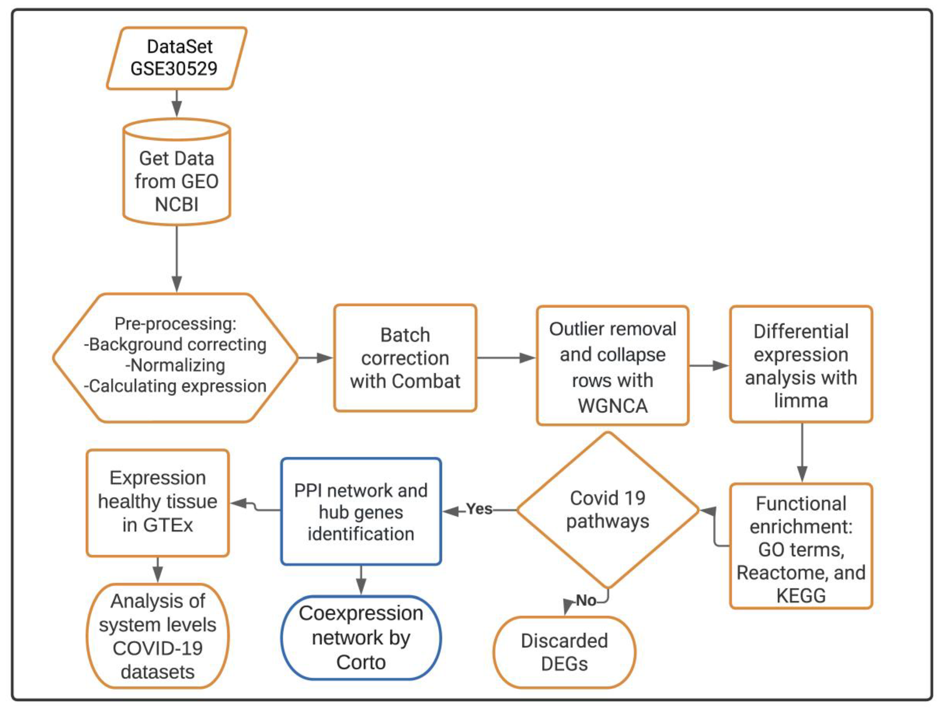 Genes 13 02412 g001 Genes 13 02412 g001