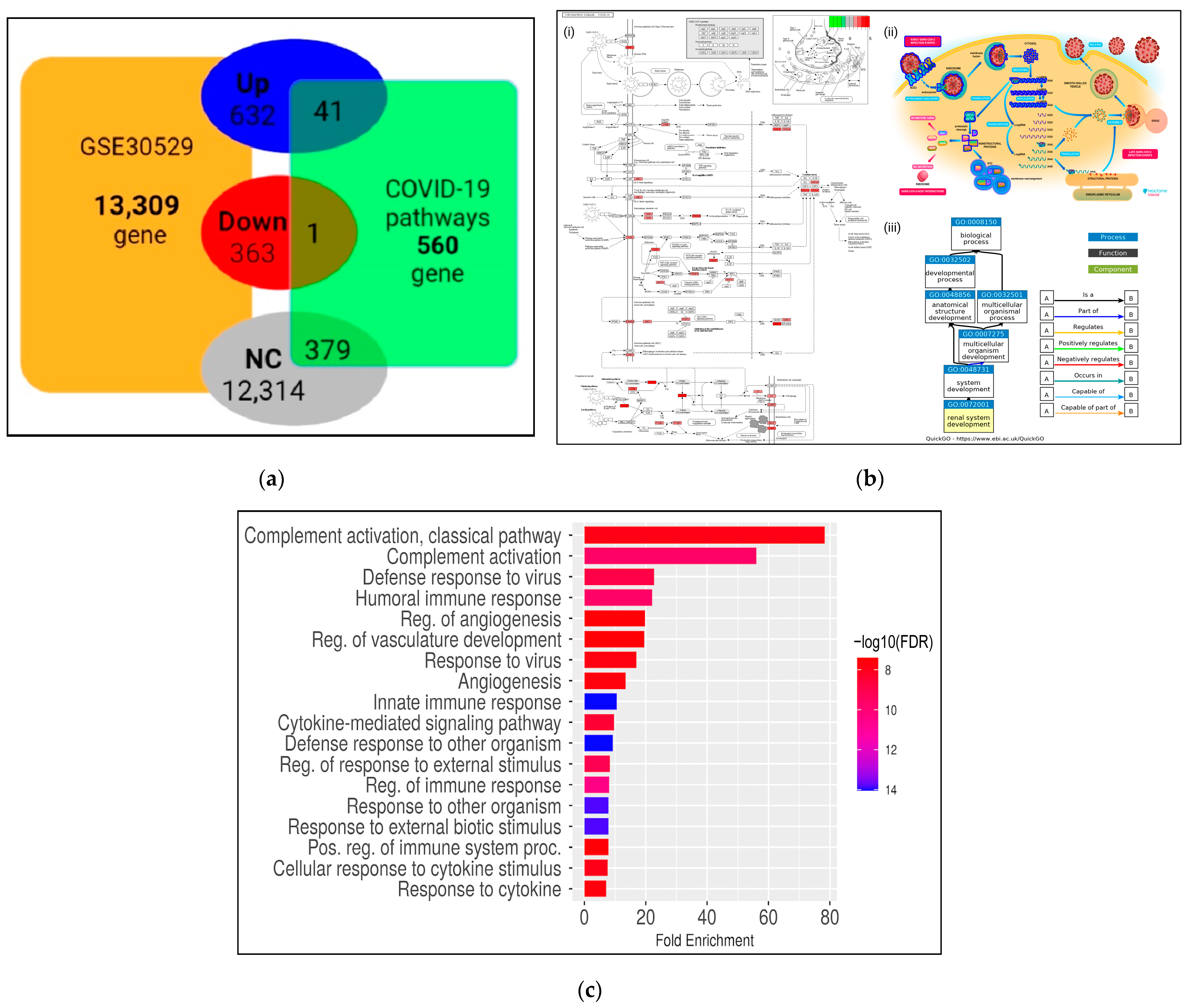 Genes 13 02412 g005 Genes 13 02412 g005