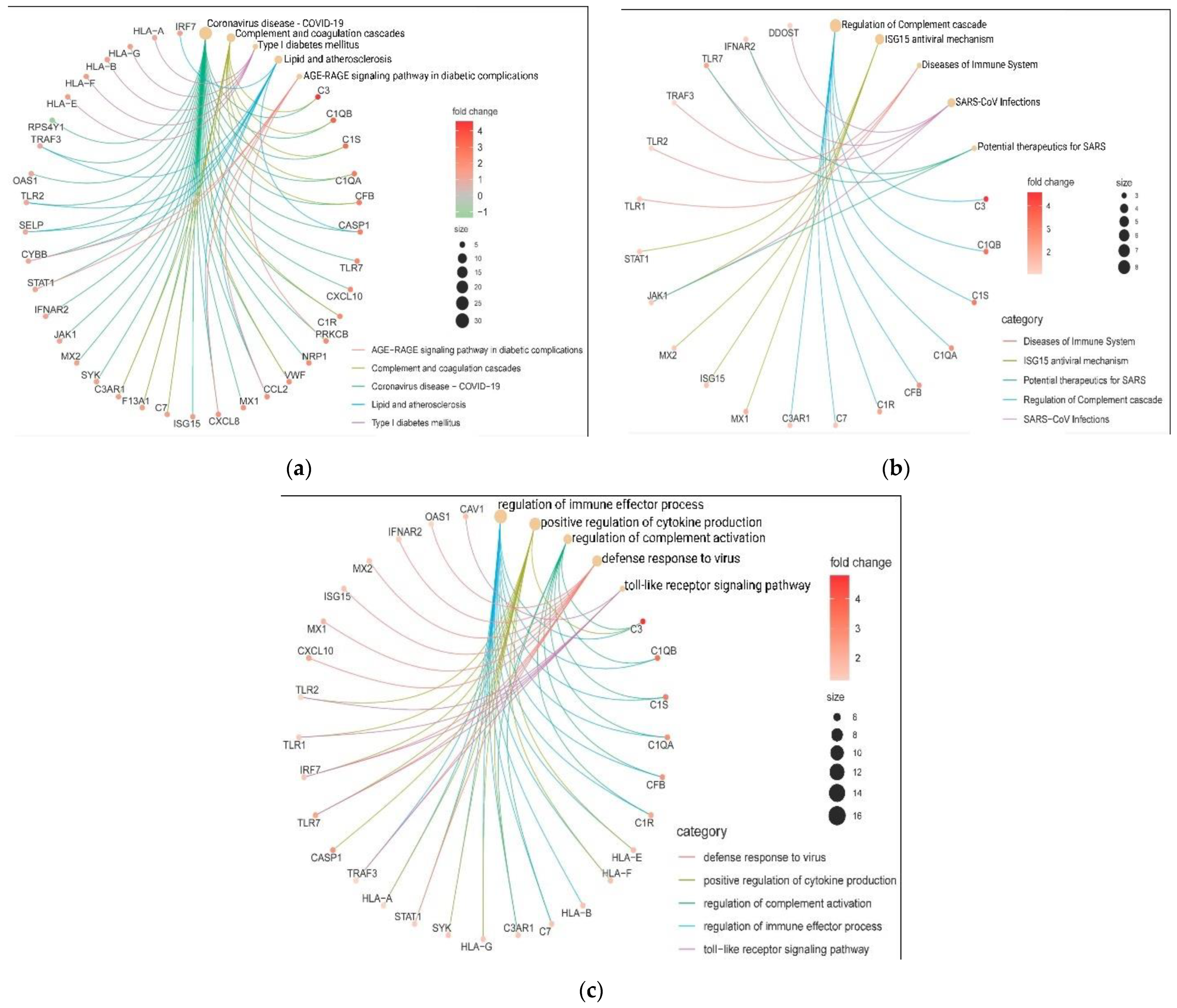 Genes 13 02412 g007 Genes 13 02412 g007