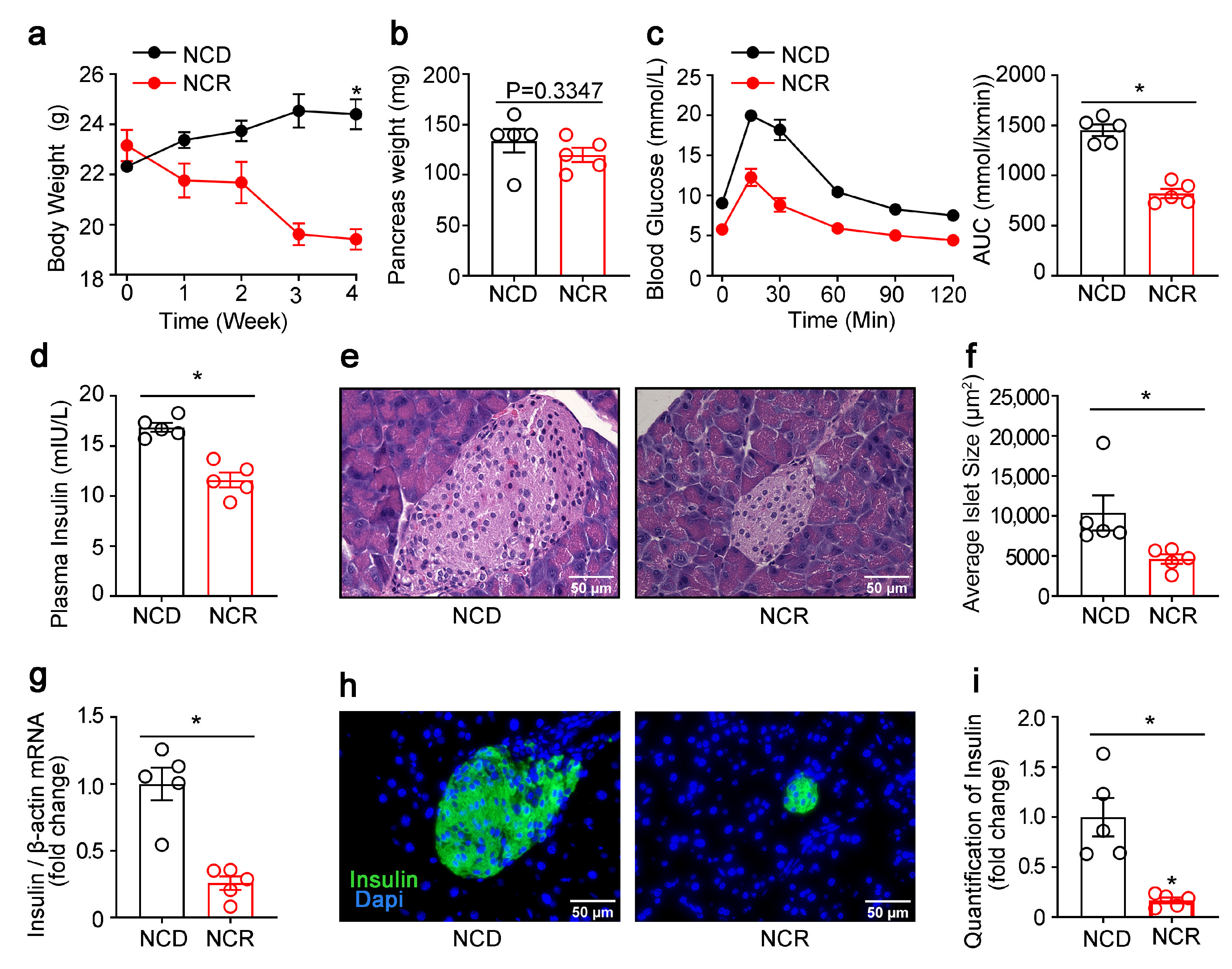 Genes 14 00005 g001 Genes 14 00005 g001