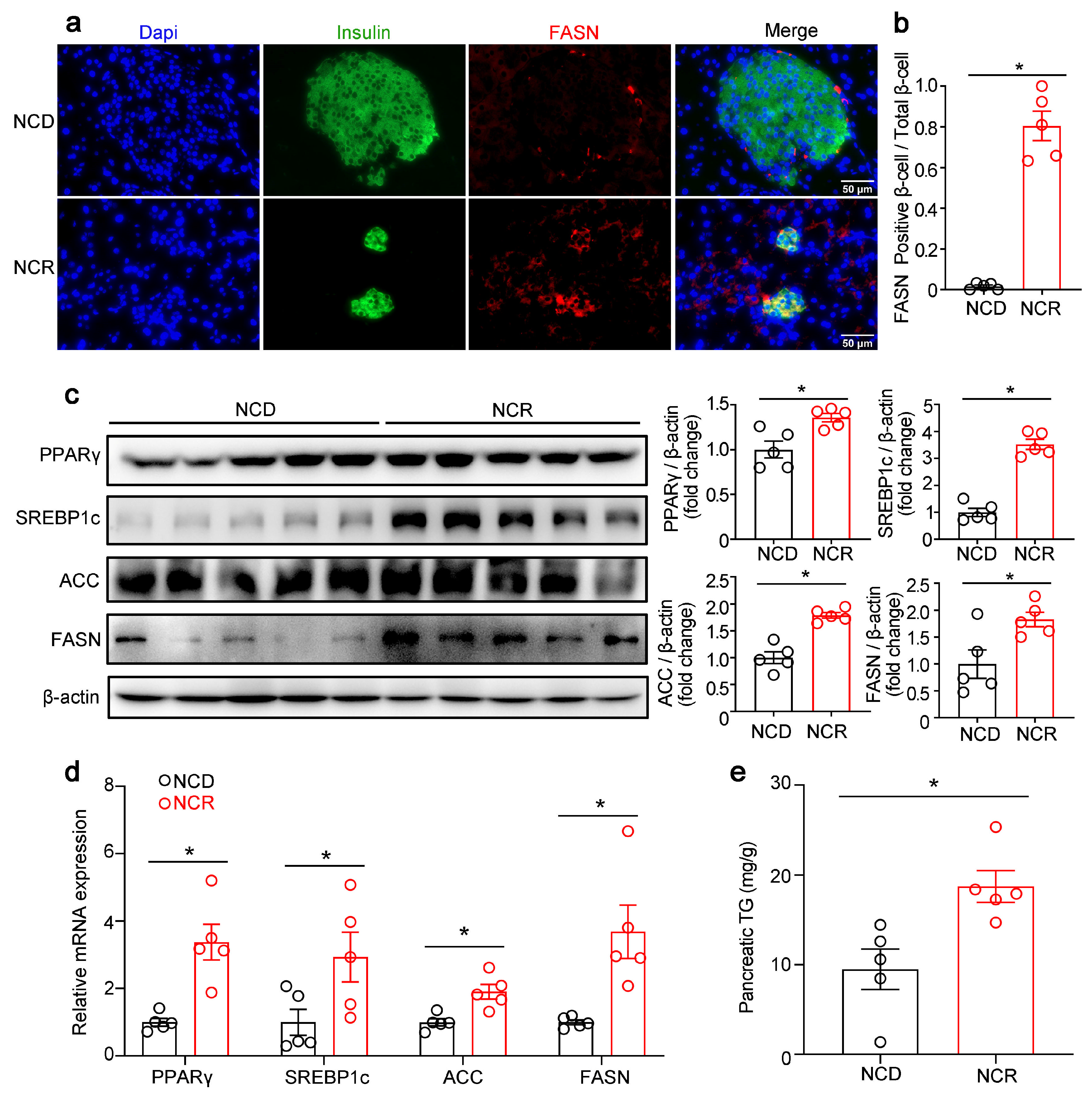 Genes 14 00005 g003 Genes 14 00005 g003