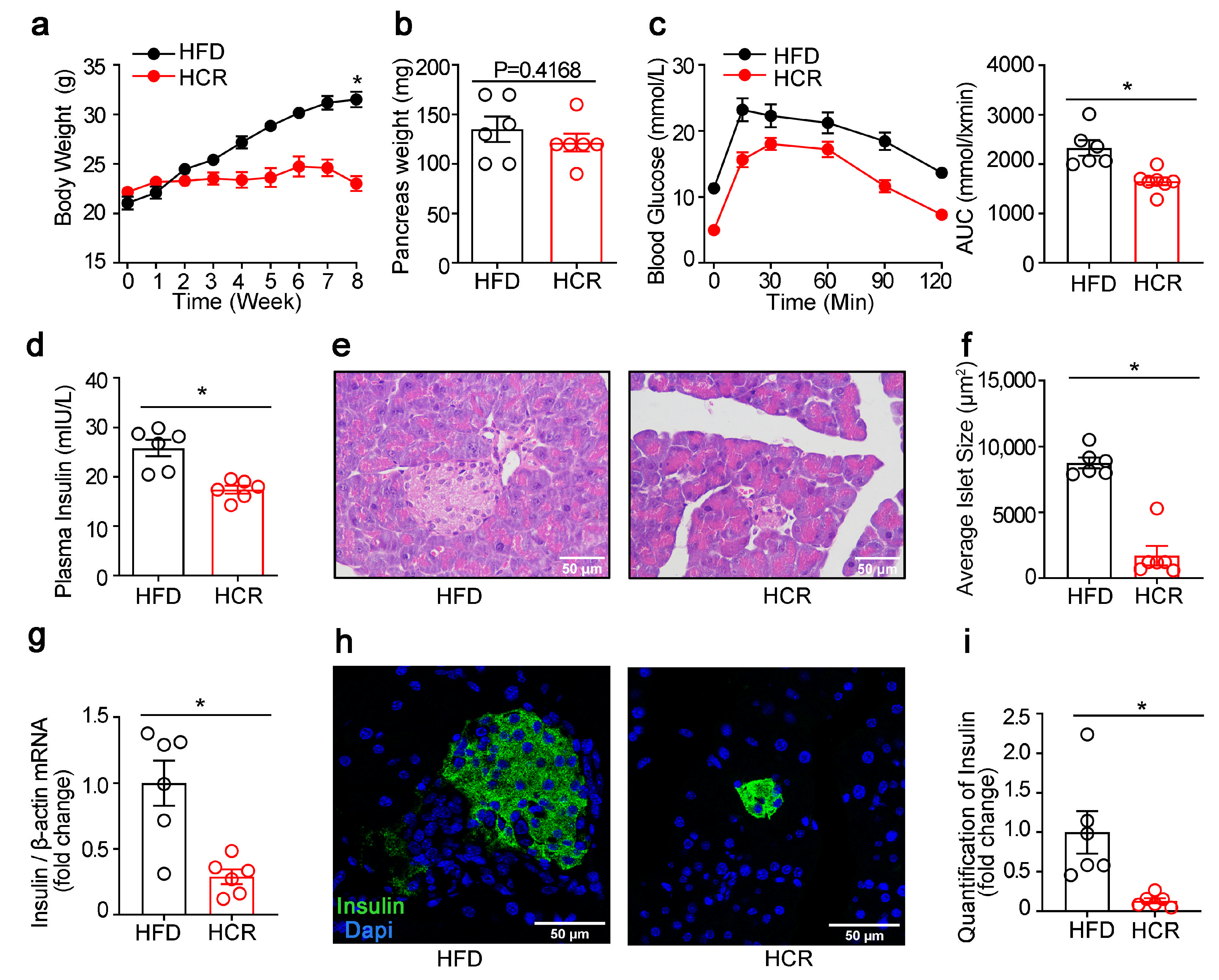 Genes 14 00005 g004 Genes 14 00005 g004