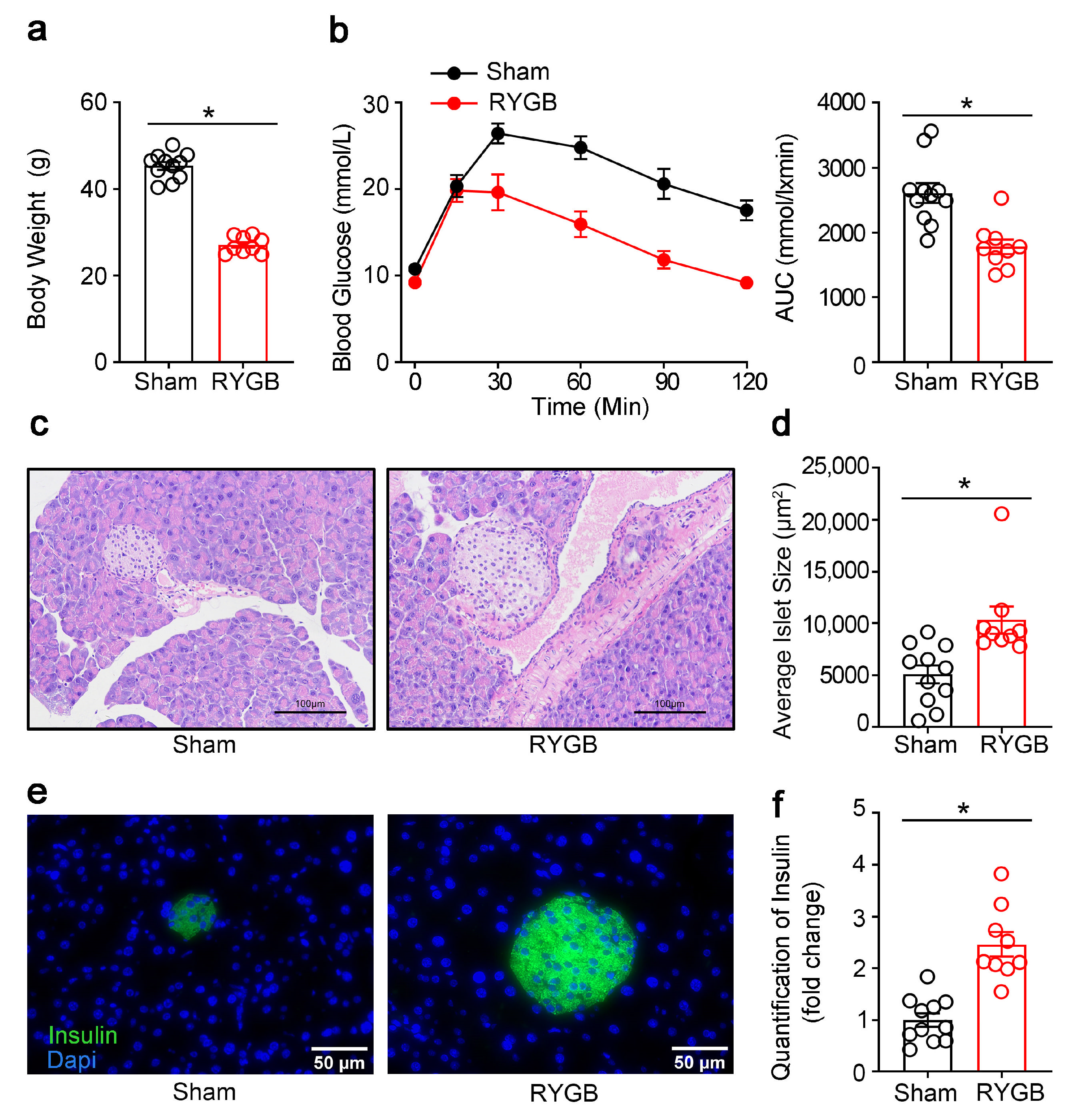 Genes 14 00005 g007 Genes 14 00005 g007