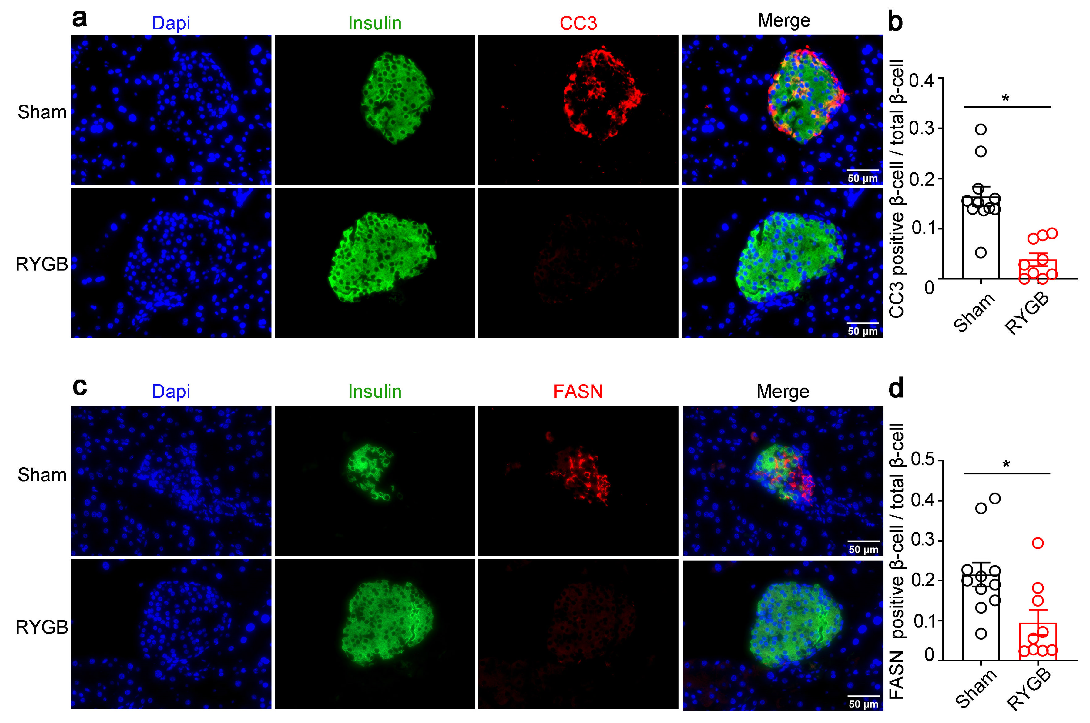 Genes 14 00005 g008 Genes 14 00005 g008